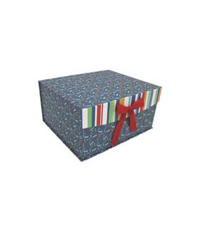 12 Dog Prints on Blue Flip Top Box With Bow by Place & Time