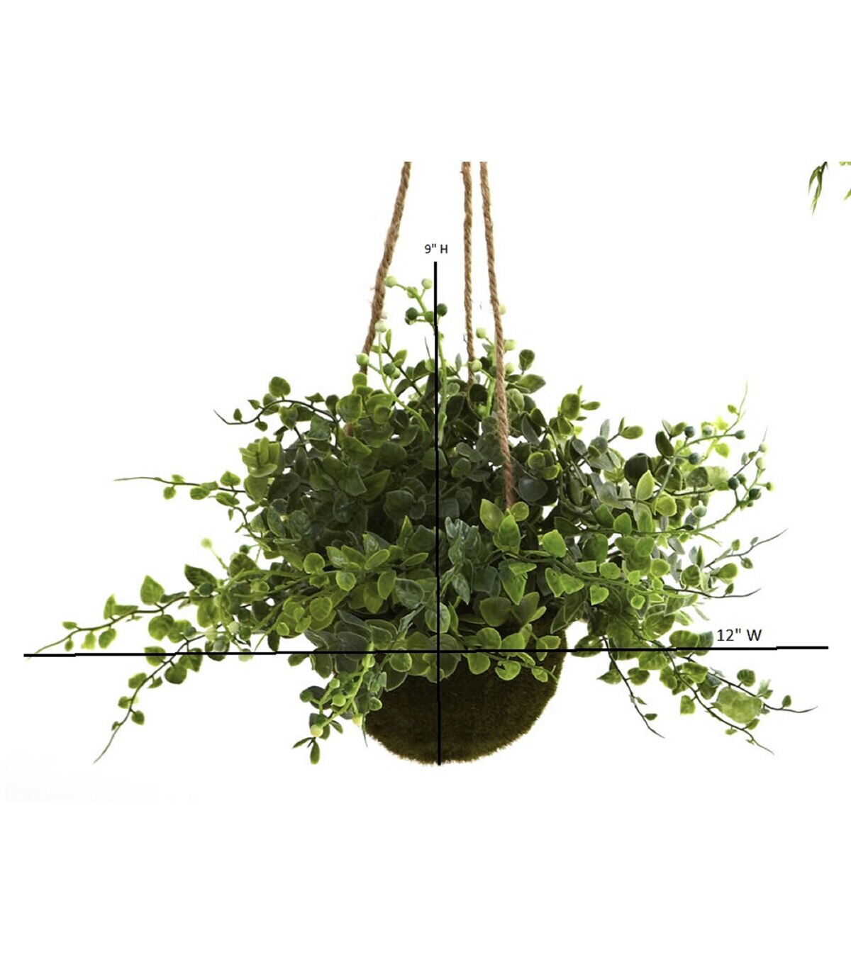 Nearly Natural Eucalyptus, Maiden Hair & Berry Hanging Basket