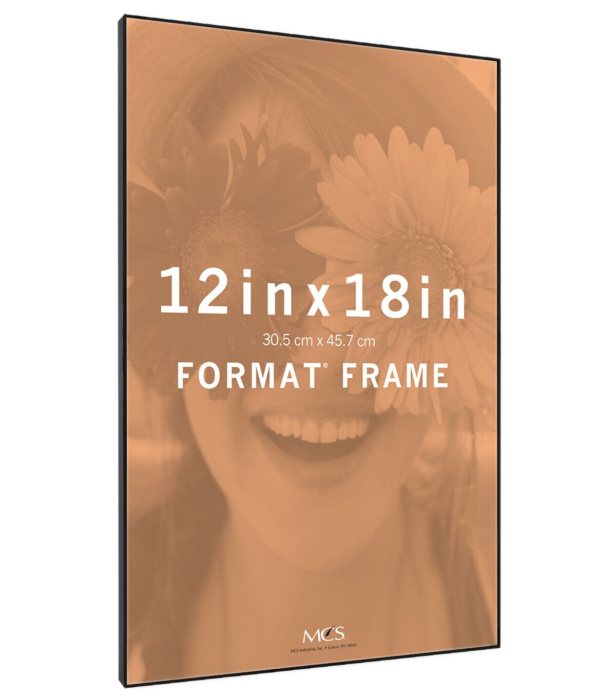 MCS 12 x 18 Front Loading Black Wall Frame