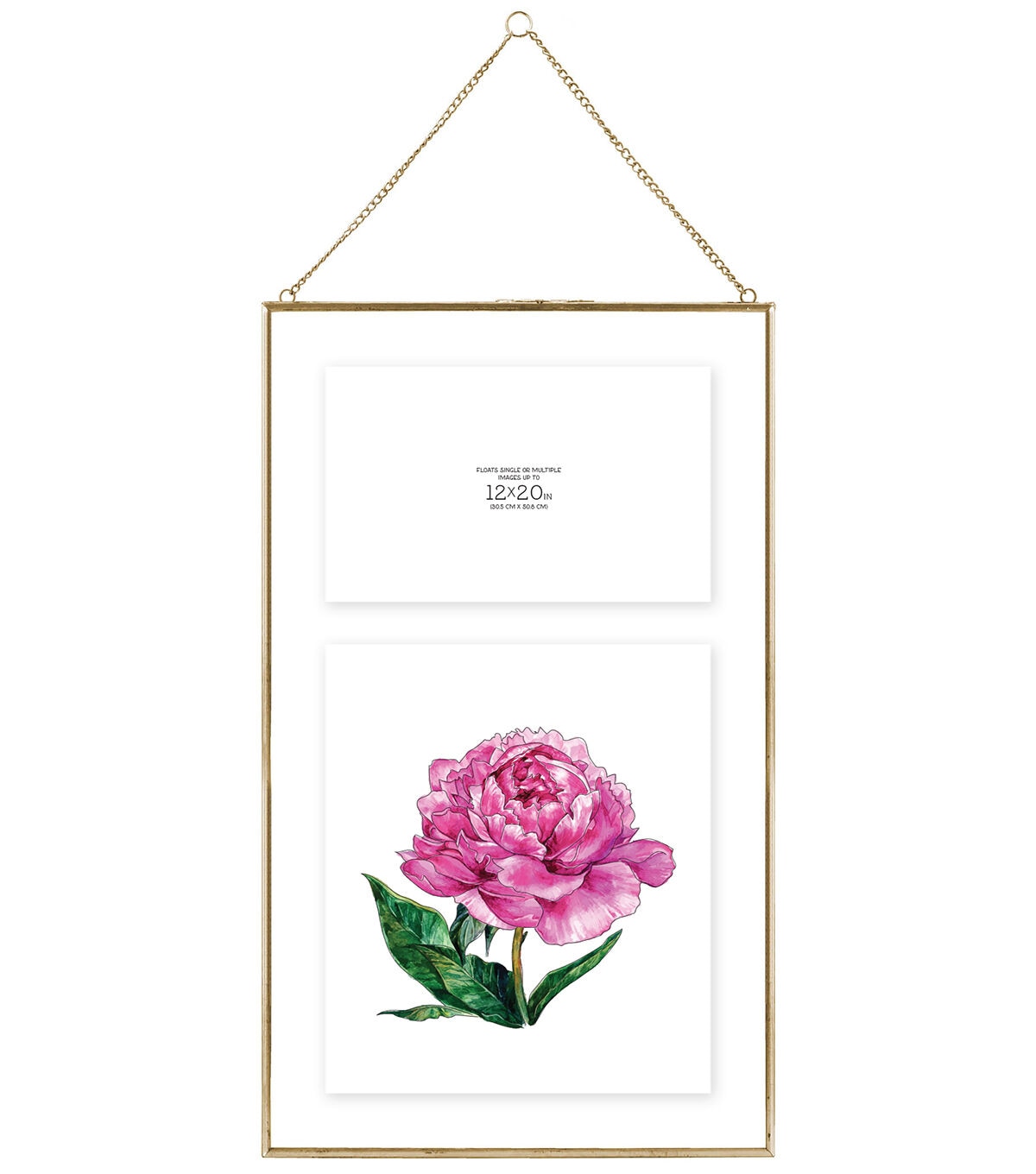 MCS 12 x 20 Brass Pressed Hanging Float Picture Frame