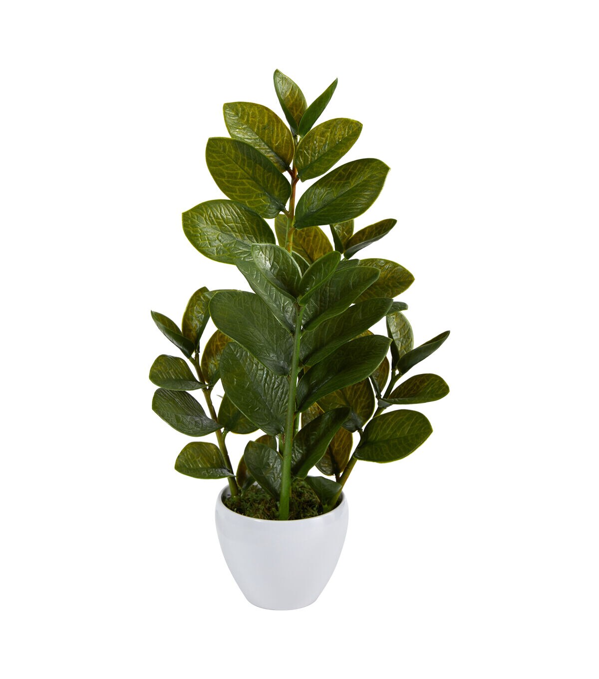 Nearly Natural 22in. Zamioculcas Artificial Plant in White Planter