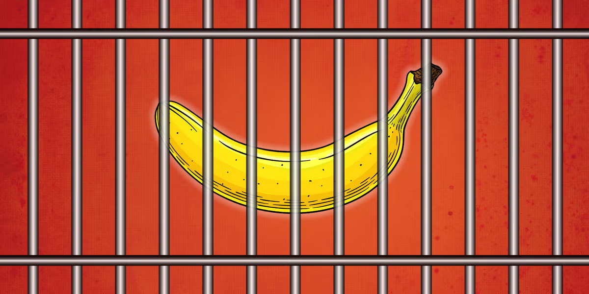 Avoiding Slippage and Discomfort: 5 Key Factors for Choosing a High-Security Chastity Cage - Ftm213213