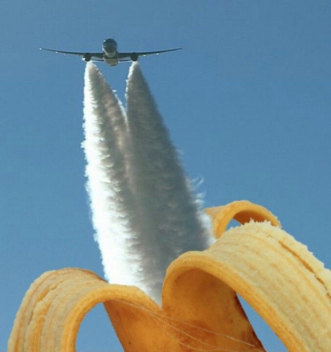 Chastity Belt Care Tips Every BDSM Lover Must Know