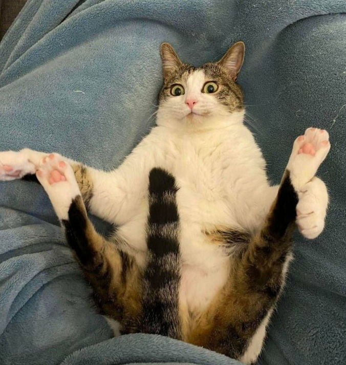 Comfortable Long Term Chastity: 7 Pro Tips 2025