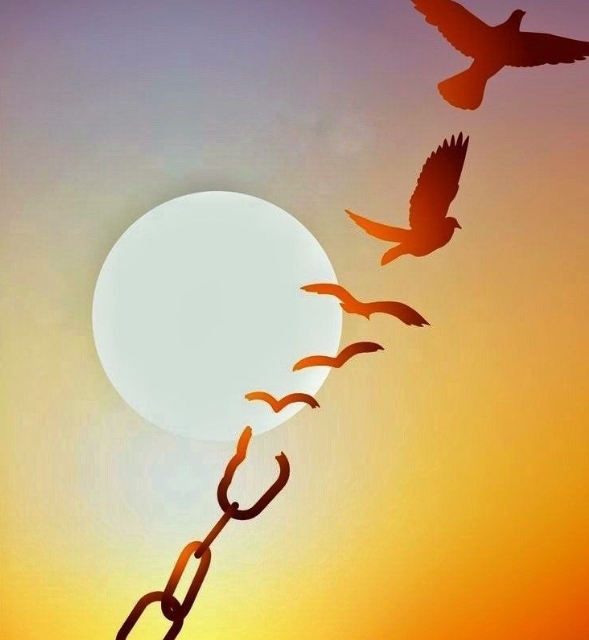 Chastity Cages for Long Term Use Unlock Deep Intimacy