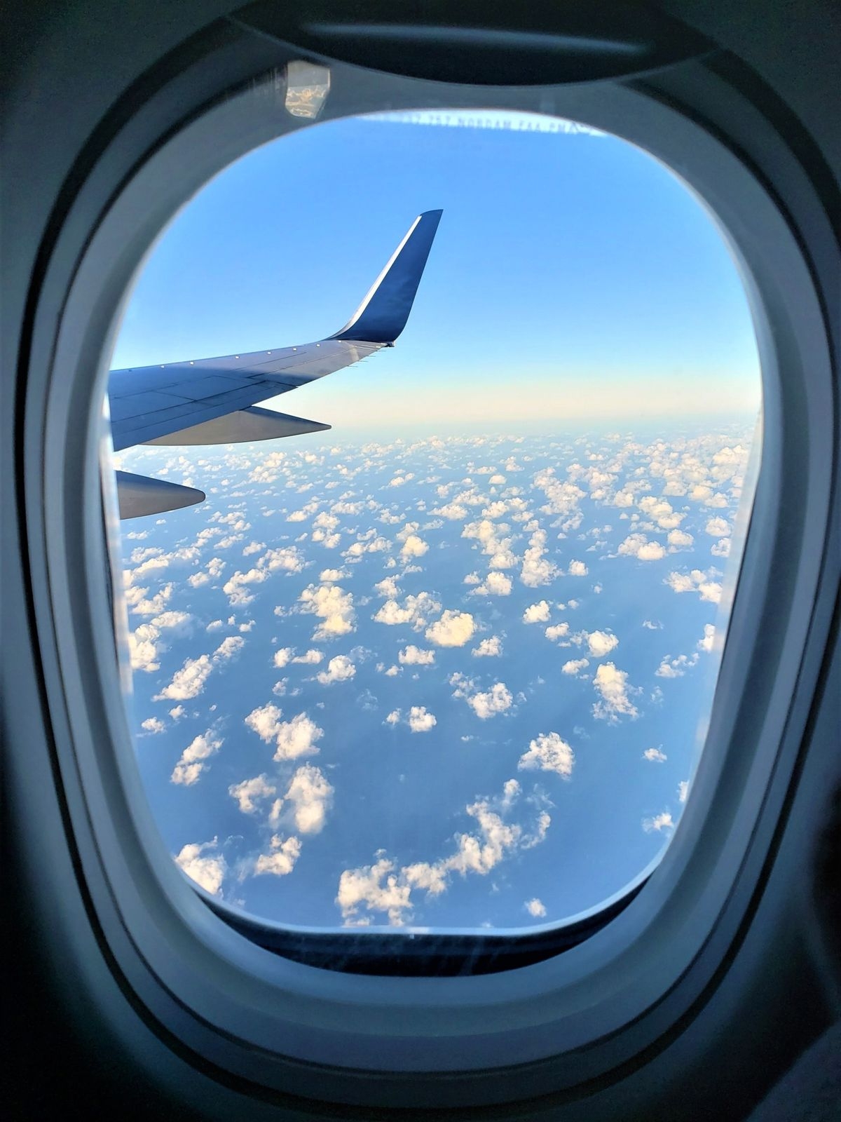 Traveling with Chastity: TSA Issues with Metal vs Plastic