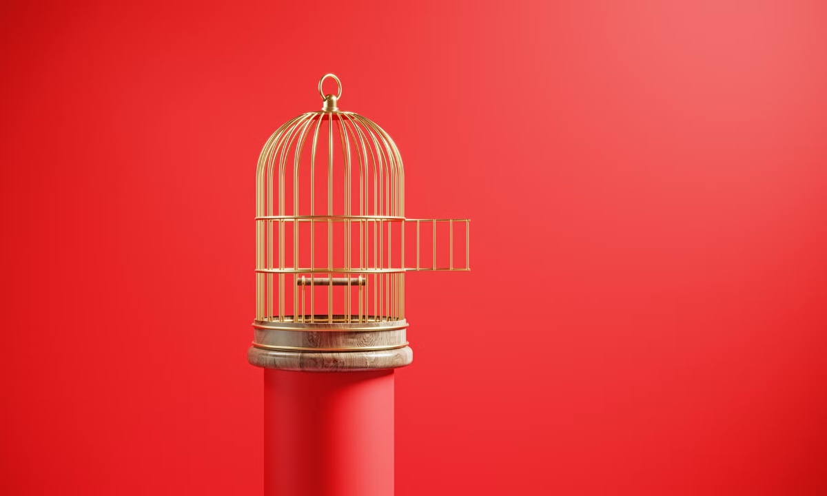 chastity cage accessories