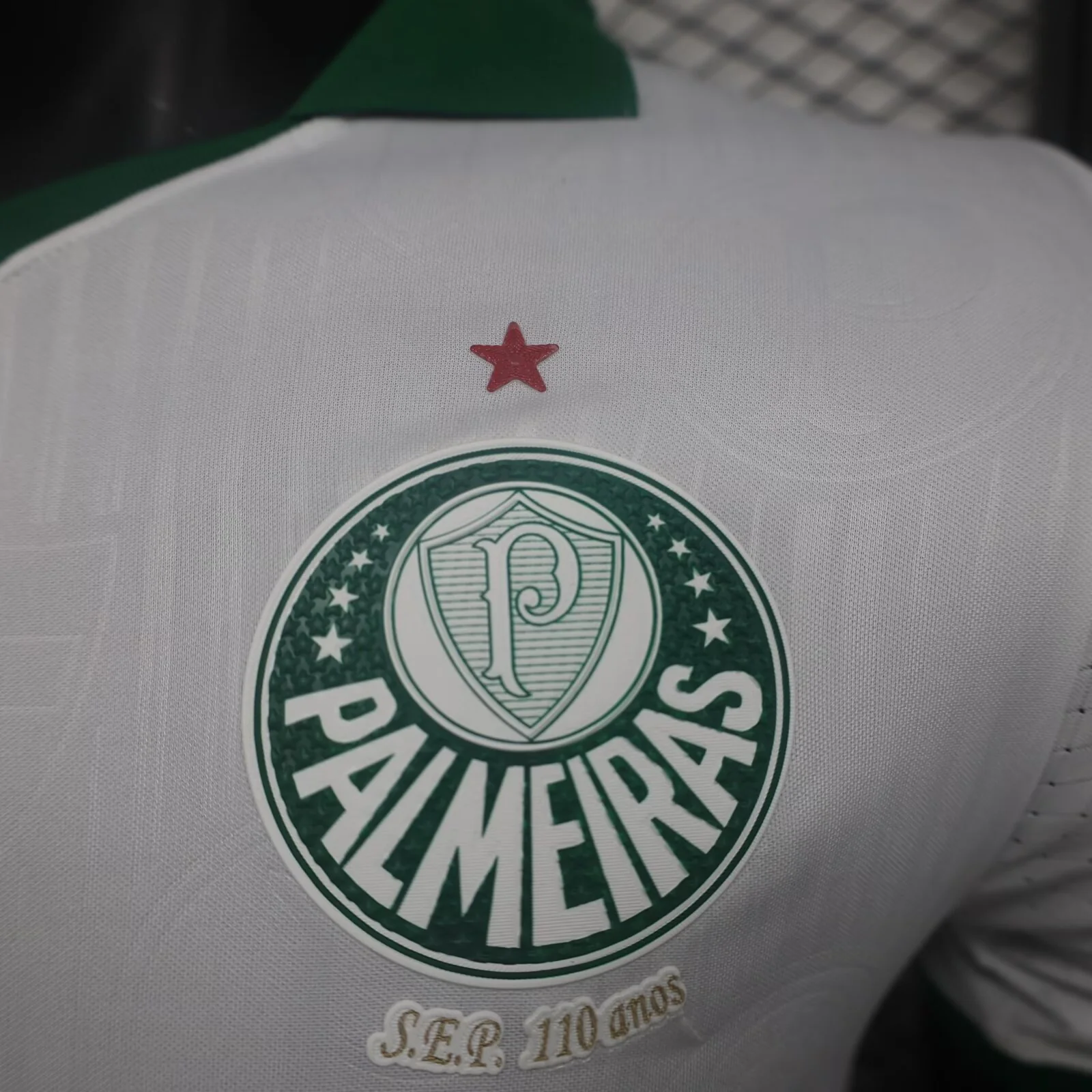 CAMISA VERSO PLAYER PALMEIRAS 24/25 ALTERNATIVA
