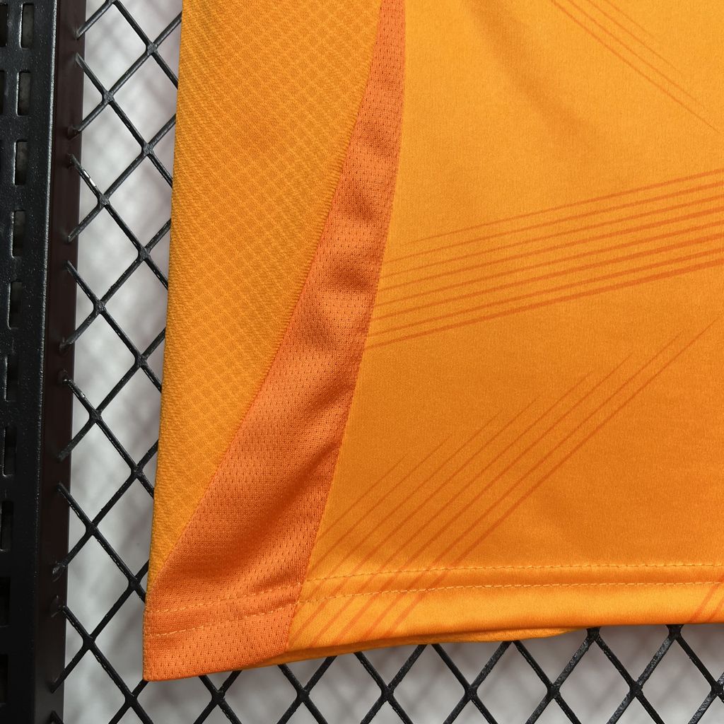 CAMISOLA REAL MADRID 24/25 ALTERNATIVA