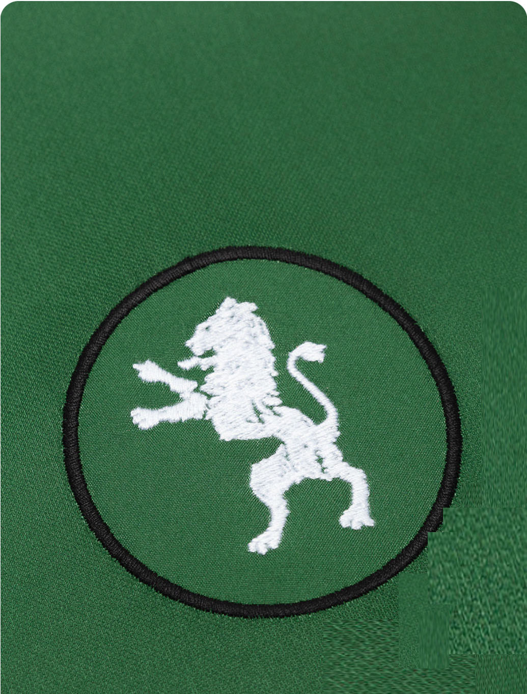 Camisola STROMP verde/branca 2024/25