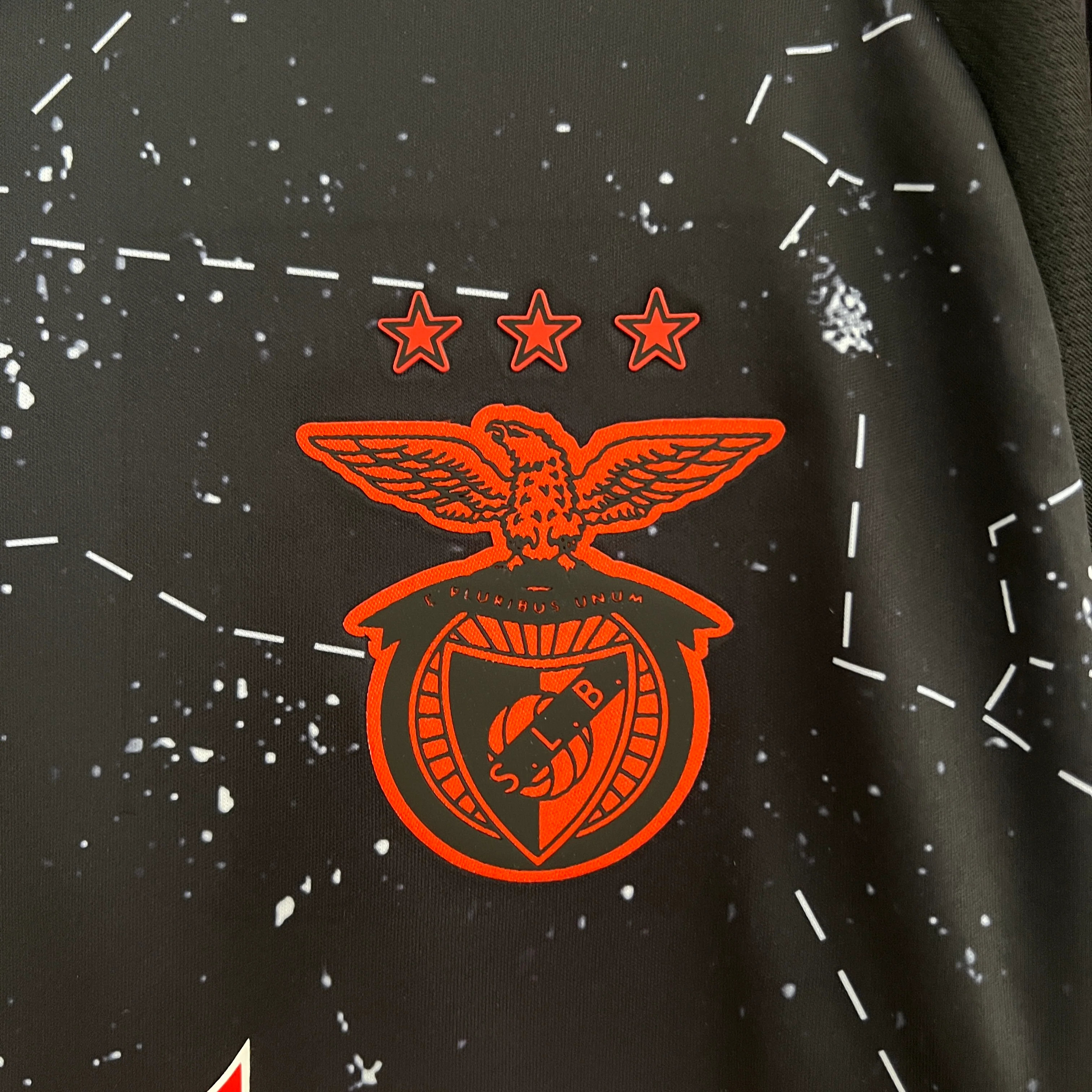 CAMISOLA DO BENFICA 24/25 ALTERNATIVA