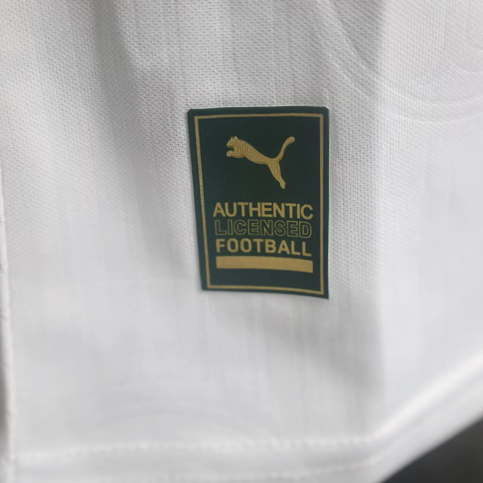 CAMISA VERSO PLAYER PALMEIRAS 24/25 ALTERNATIVA