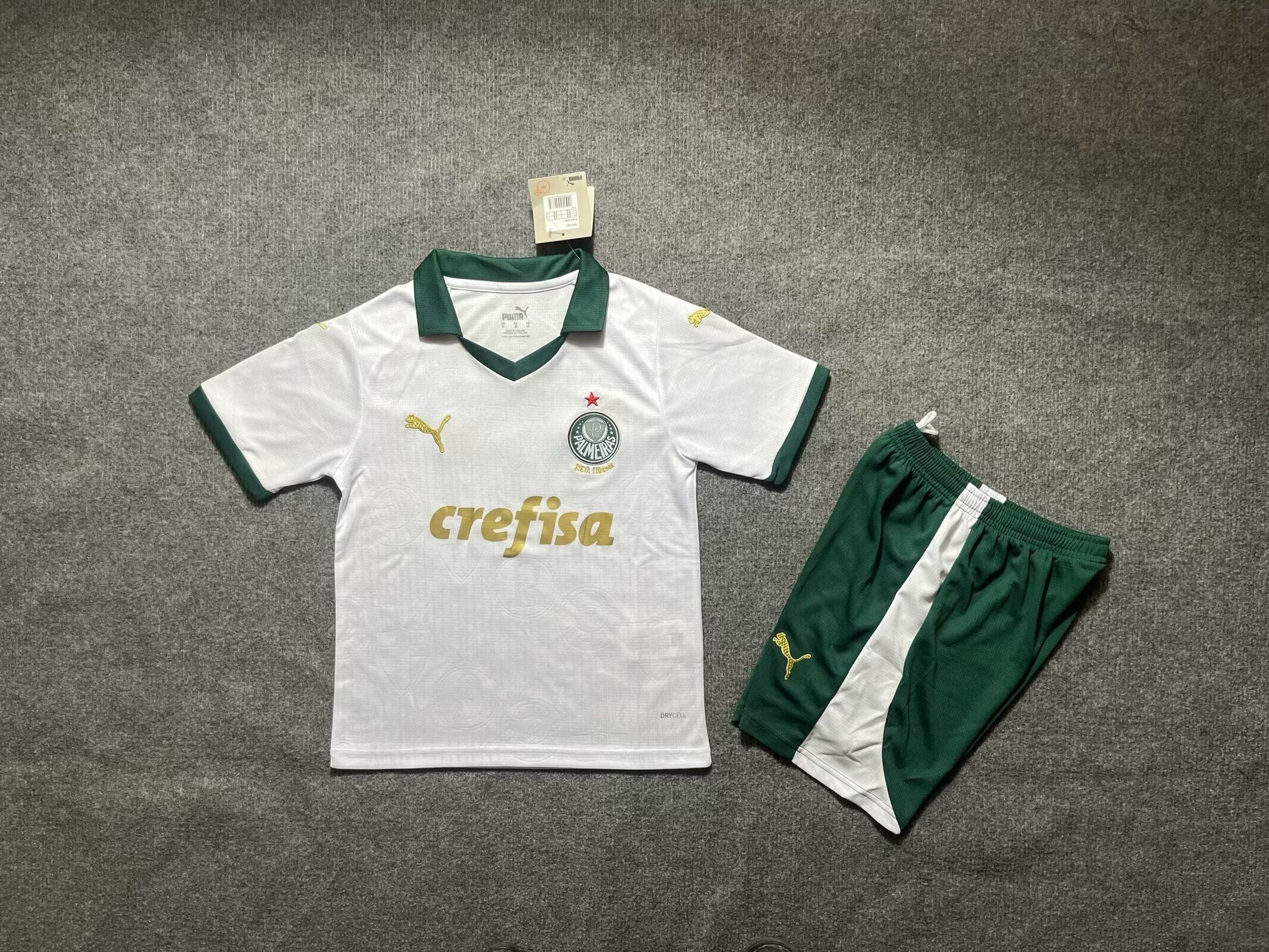 KIT INFANTIL DO PALMEIRAS 24/25 ALTERNATIVA