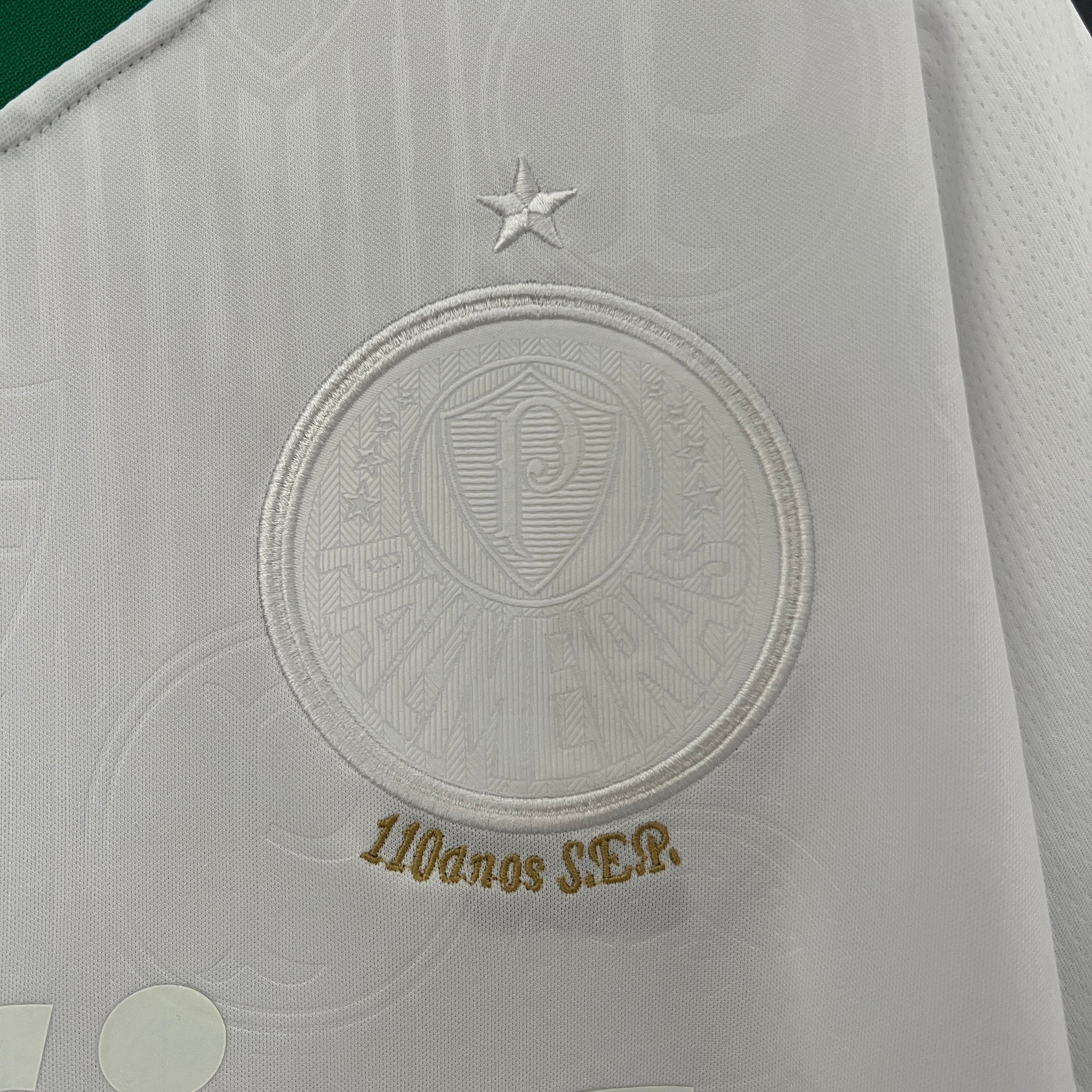 CAMISA DO PALMEIRAS 24/25 EDIO ESPECIAL