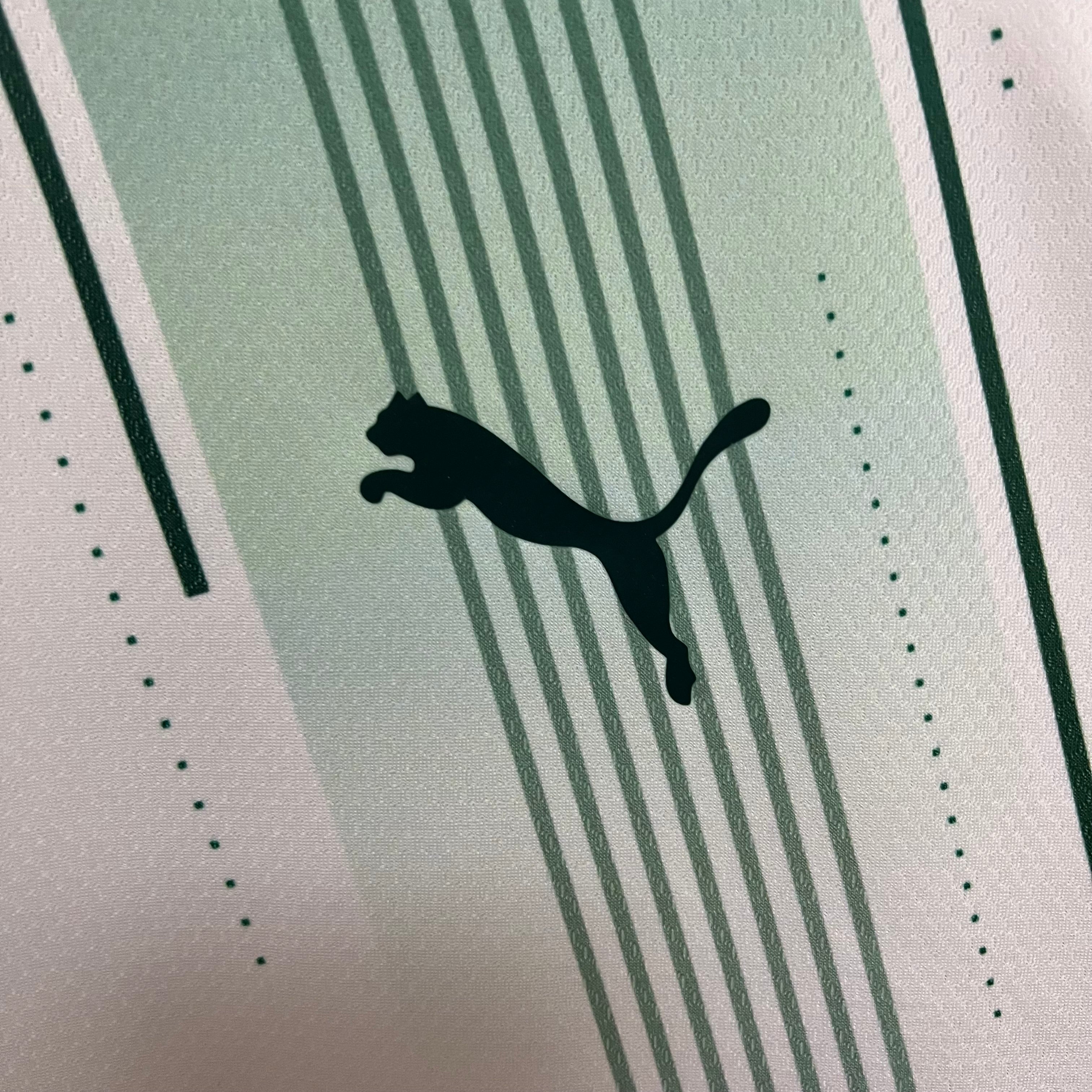 CAMISA DO PALMEIRAS  23/24 ALTERNATIVA