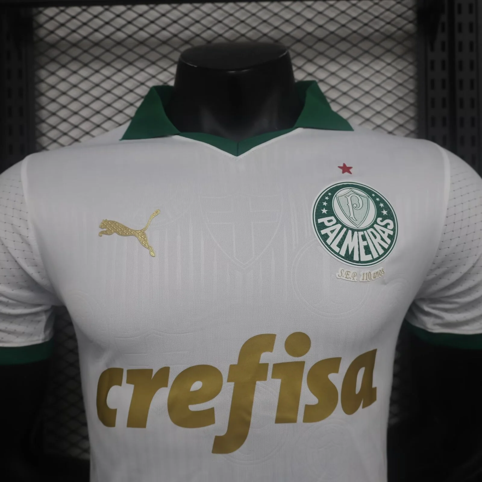 CAMISA VERSO PLAYER PALMEIRAS 24/25 ALTERNATIVA