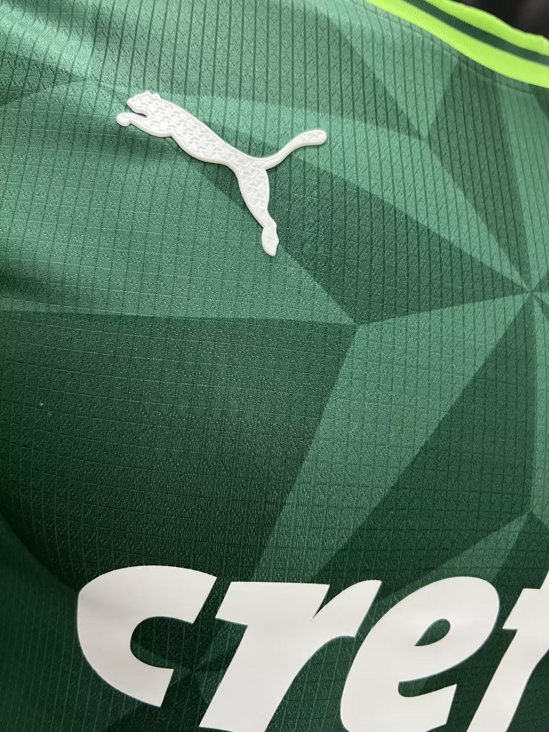 CAMISA VERSO PLAYER PALMEIRAS 23/24 PRINCIPAL