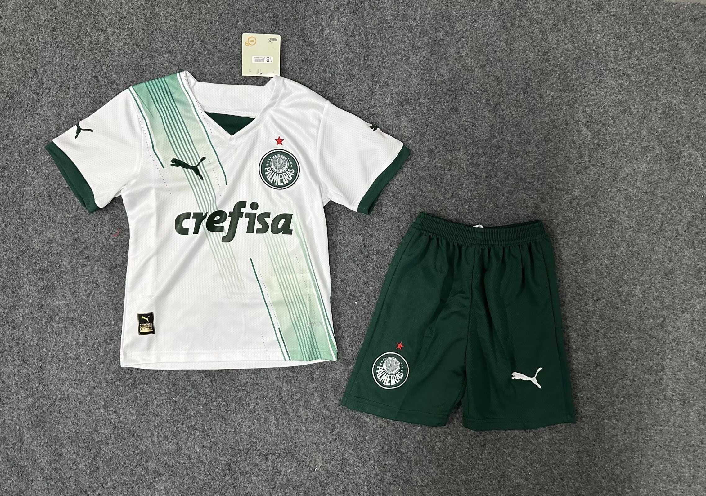 KIT INFANTIL DO PALMEIRAS 23/24 ALTERNATIVA
