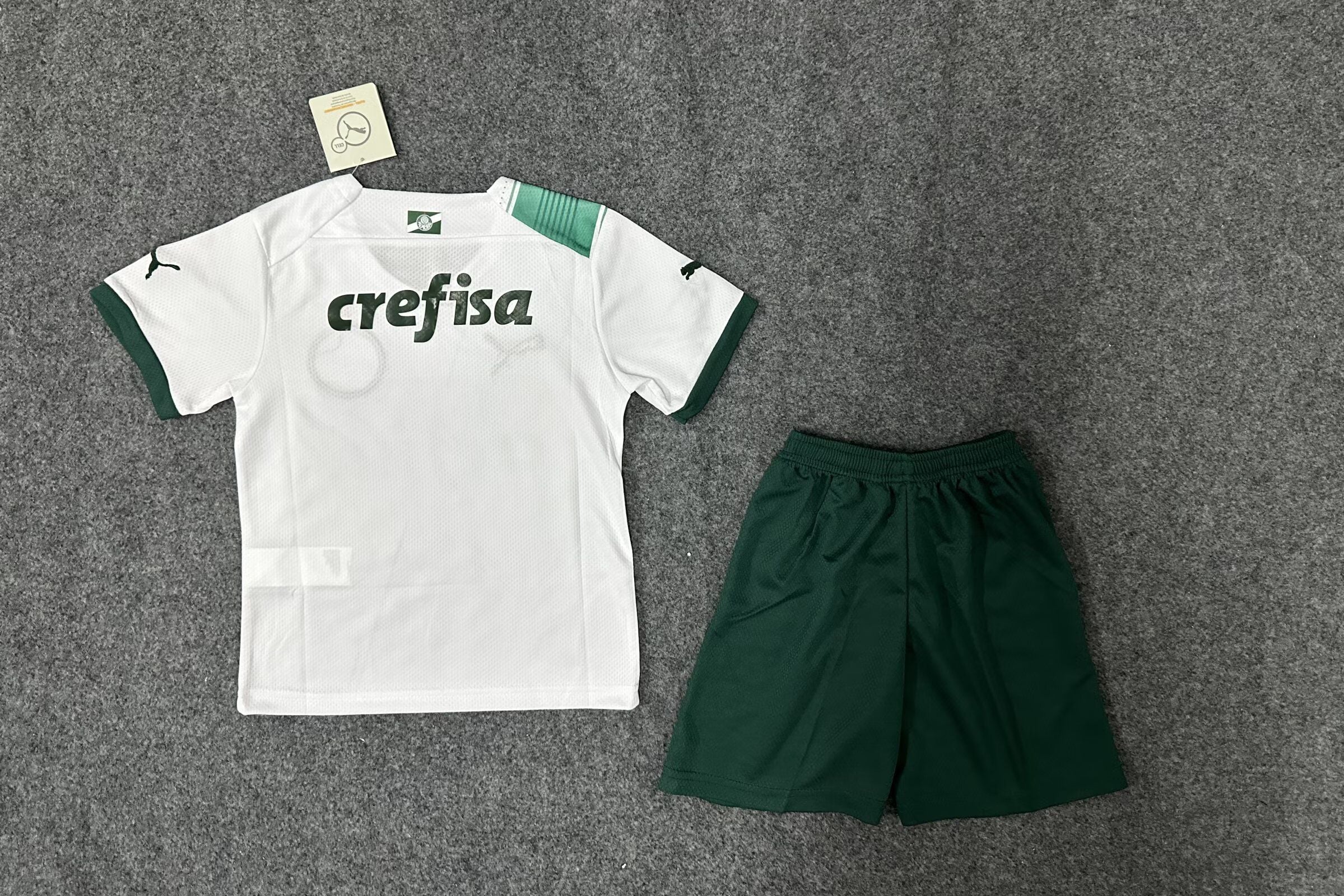 KIT INFANTIL DO PALMEIRAS 23/24 ALTERNATIVA