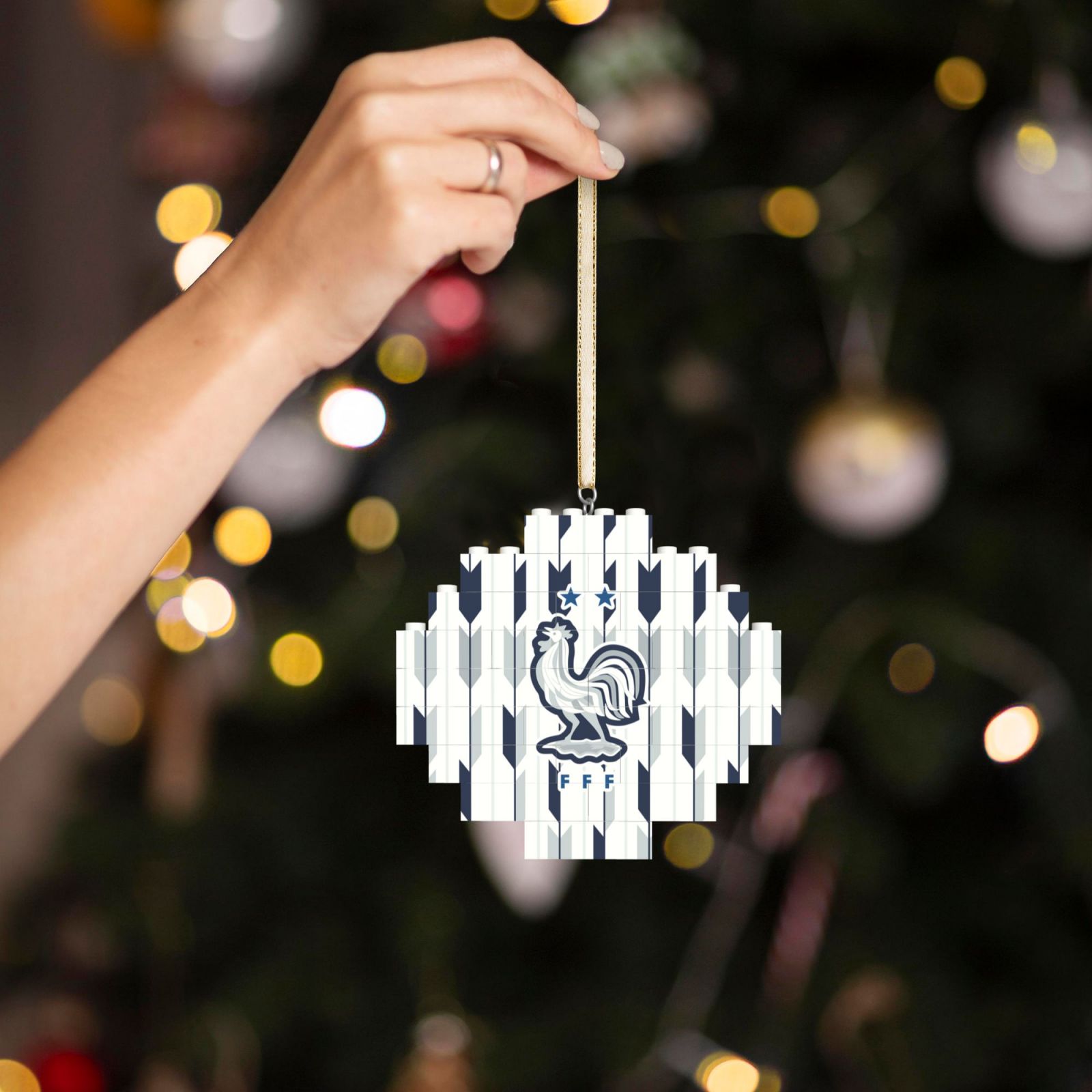 France Building Block Puzzle Ornament BBP2185