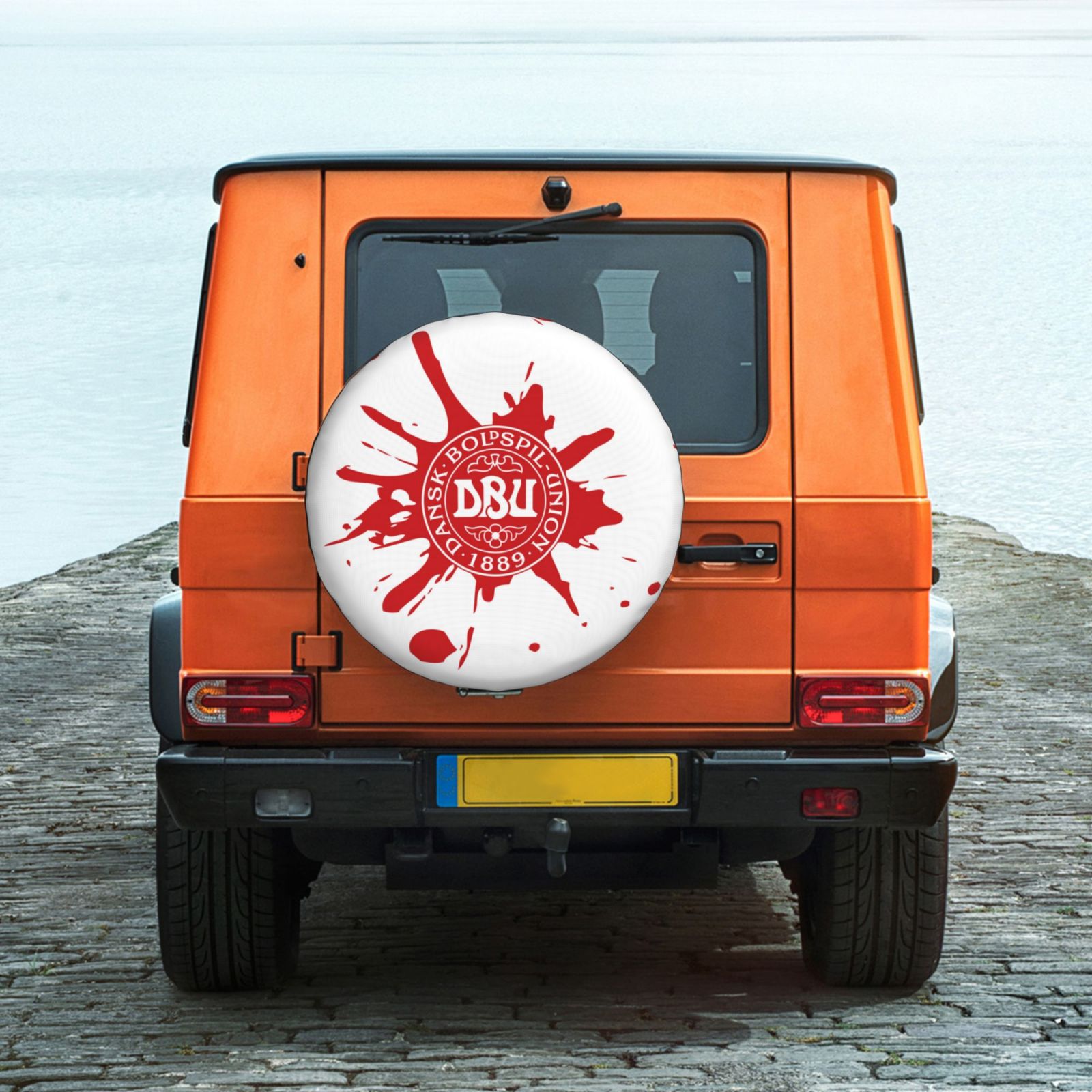 Denmark Car Tire Dust Cover TIC2758