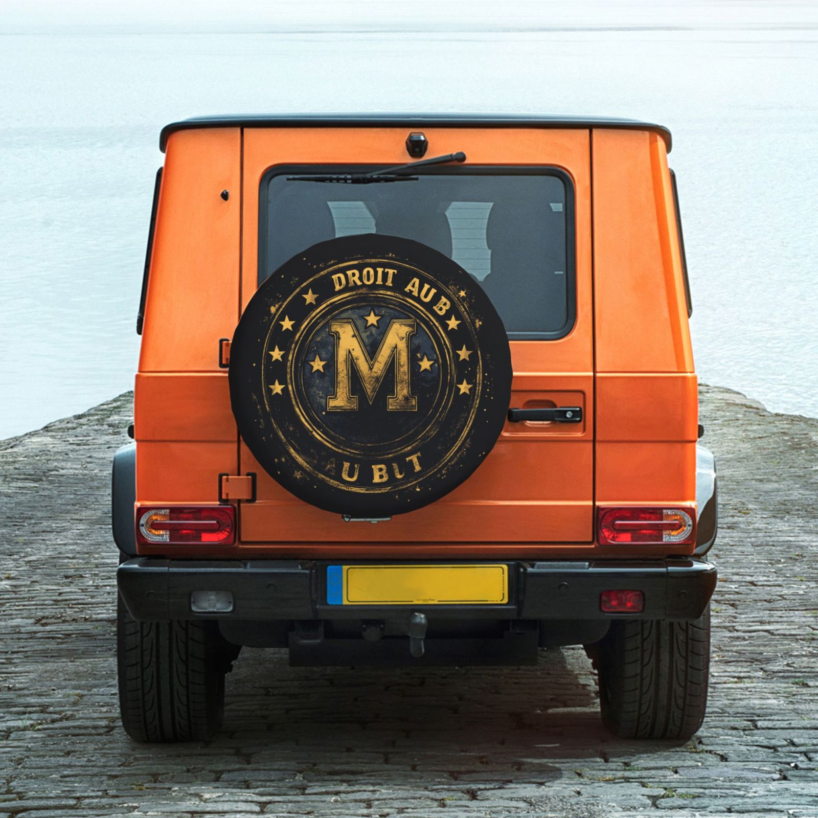 Olympique Marseille Tire Dust Cover TIC2715