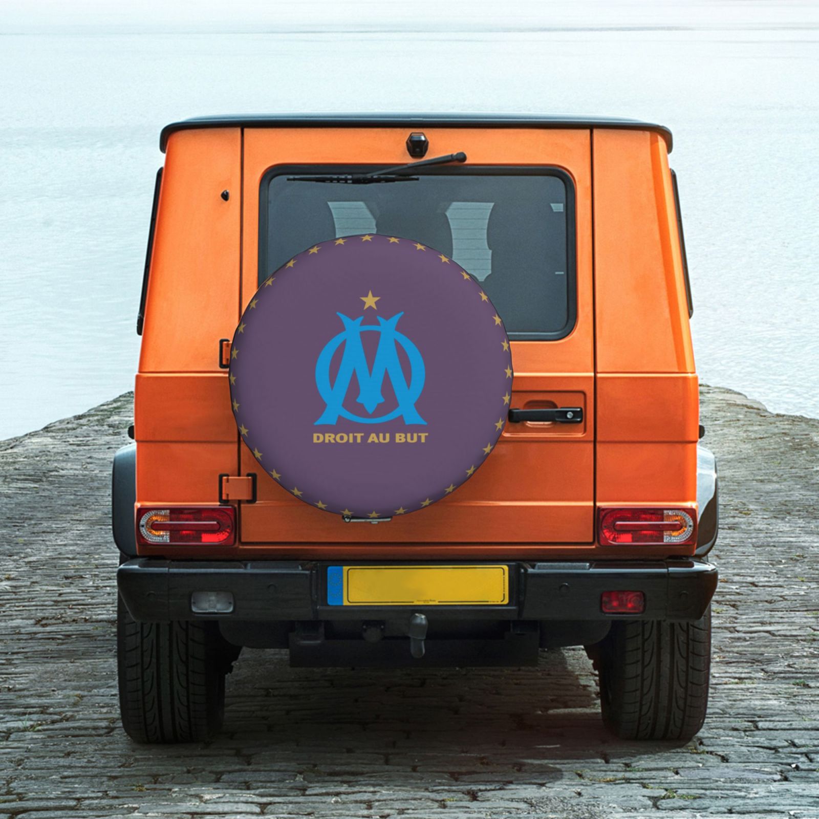 Olympique Marseille Tire Dust Cover TIC2633