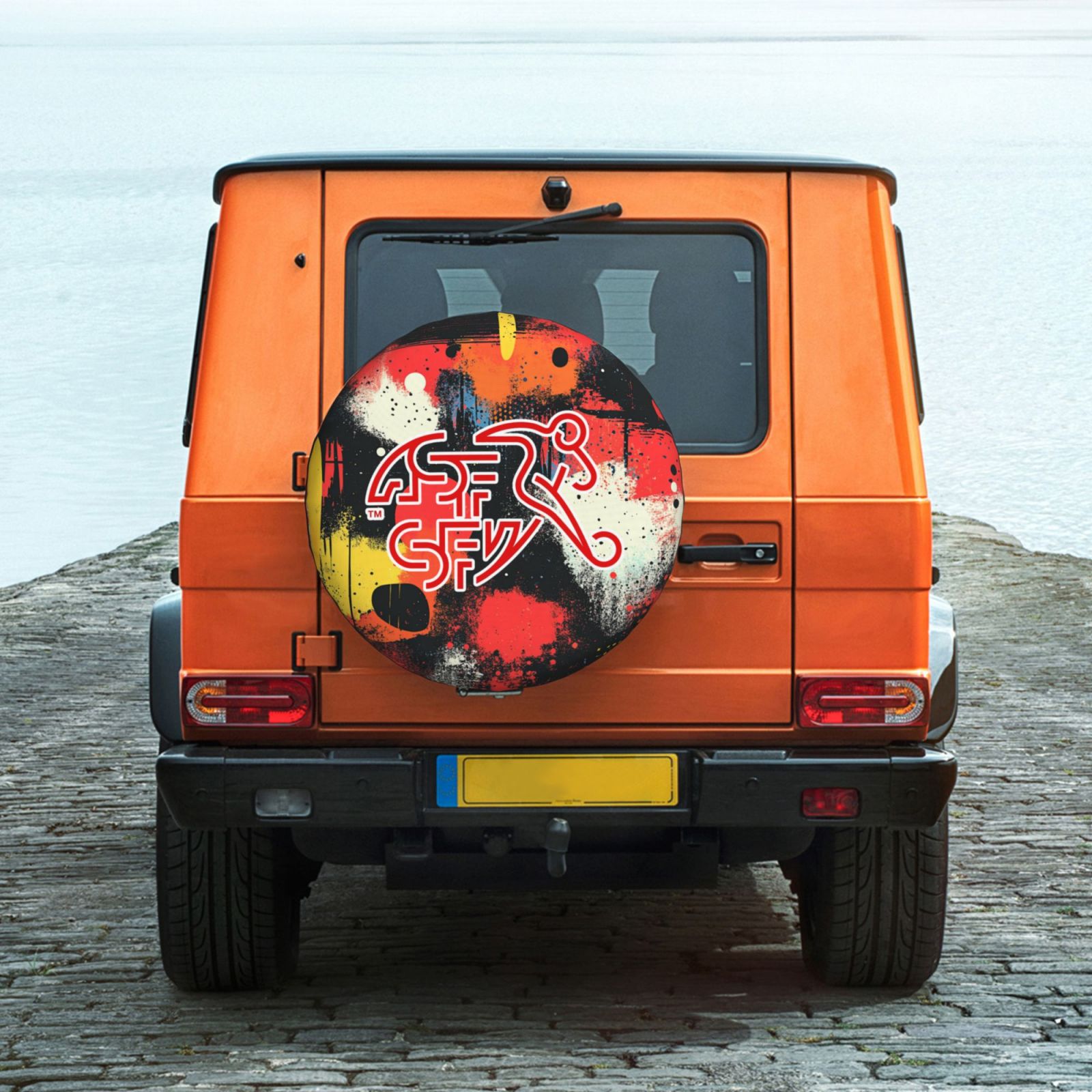 Switzerland Tire Dust Cover TIC2711