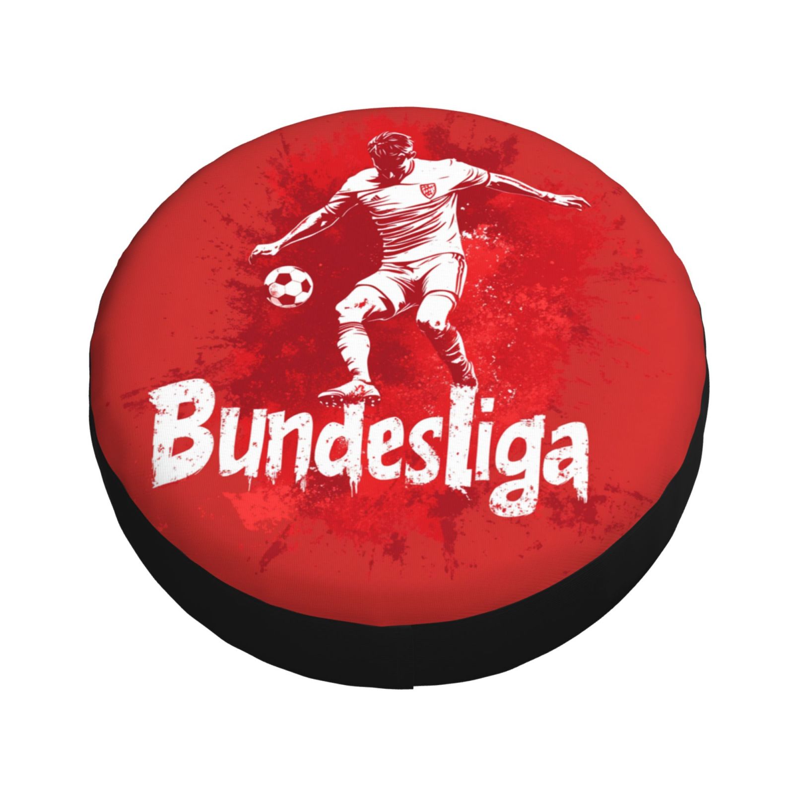 Germany Tire Dust Cover TIC2720