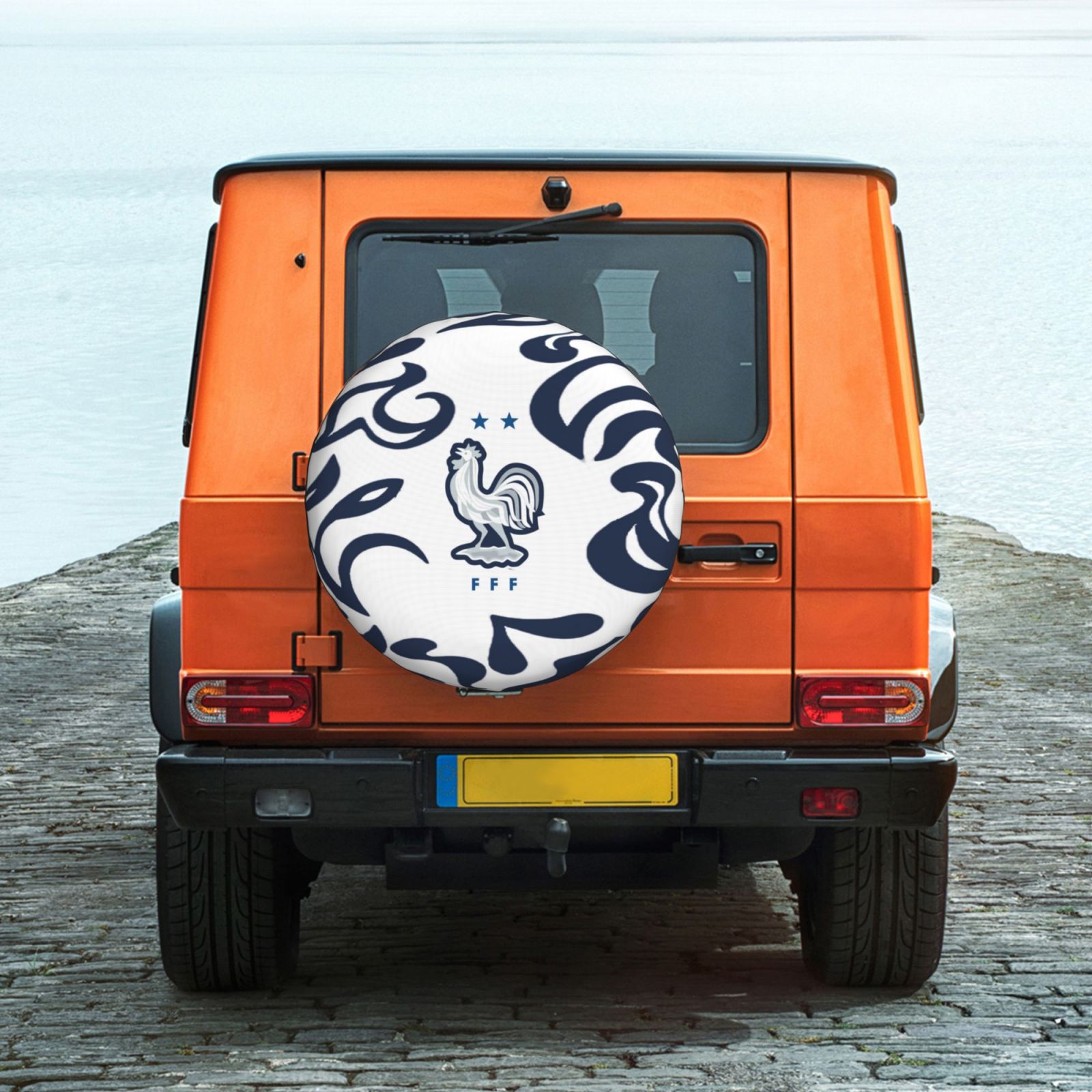 France Car Tire Dust Cover TIC2772