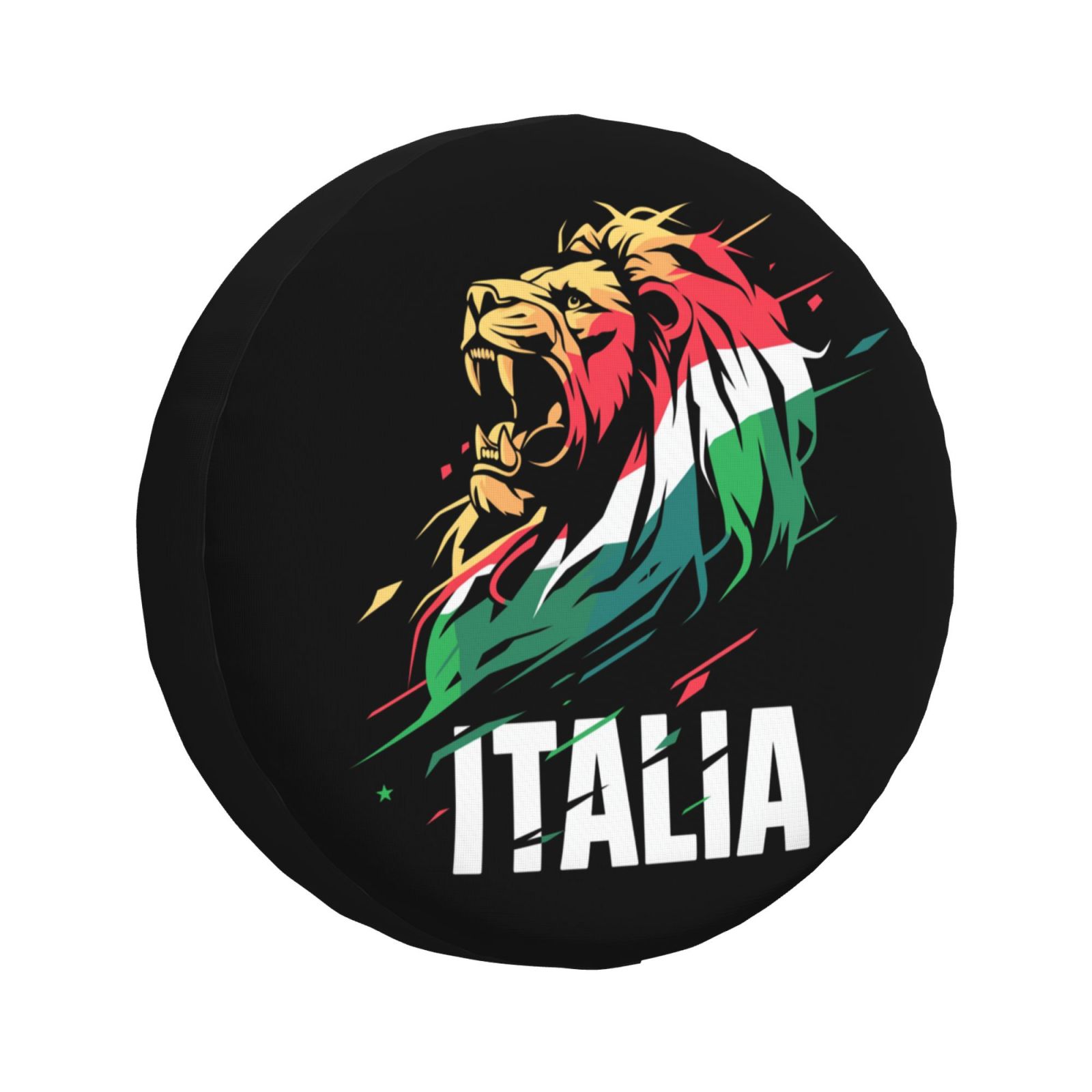 Italy Tire Dust Cover TIC2722
