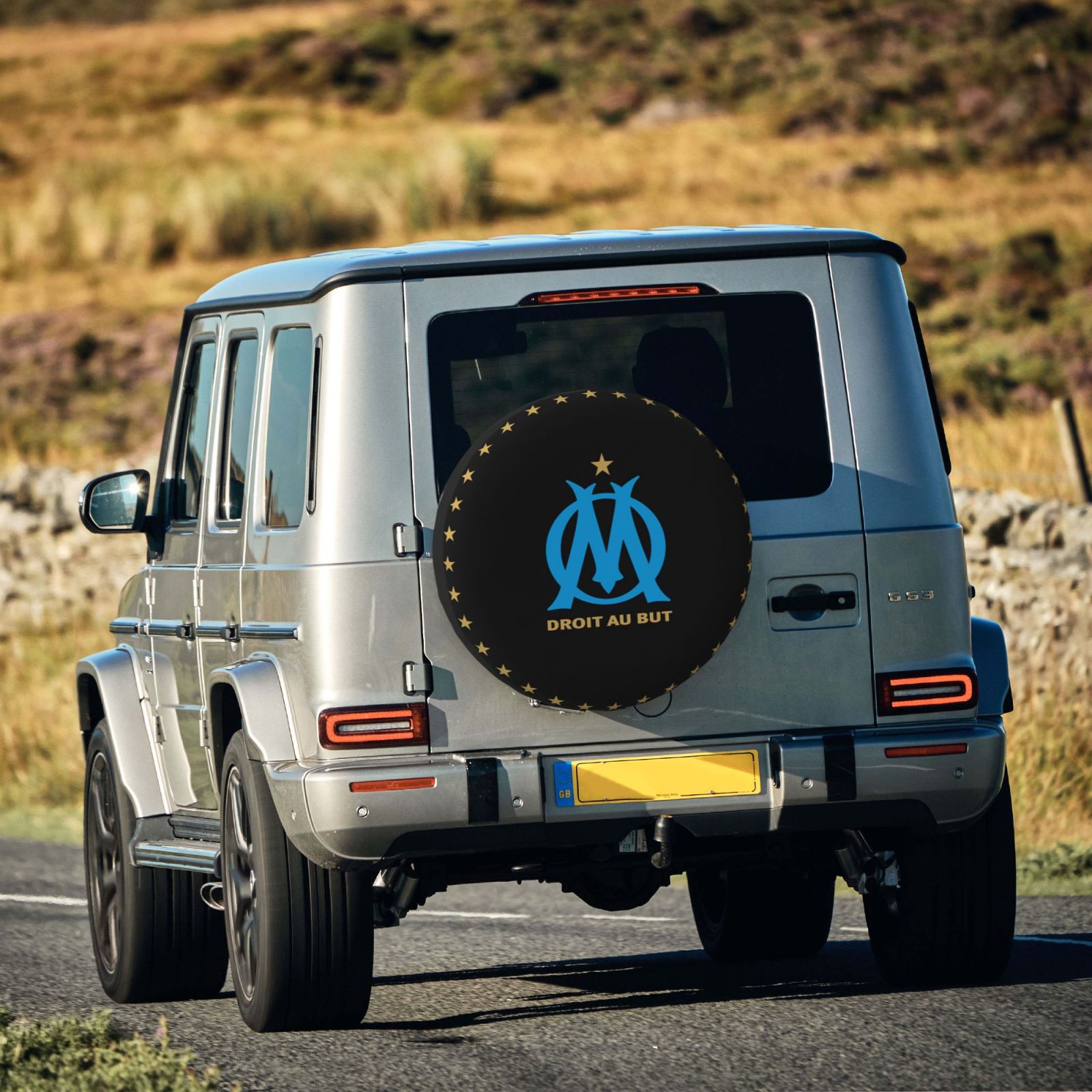 Olympique Marseille Tire Dust Cover TIC2631