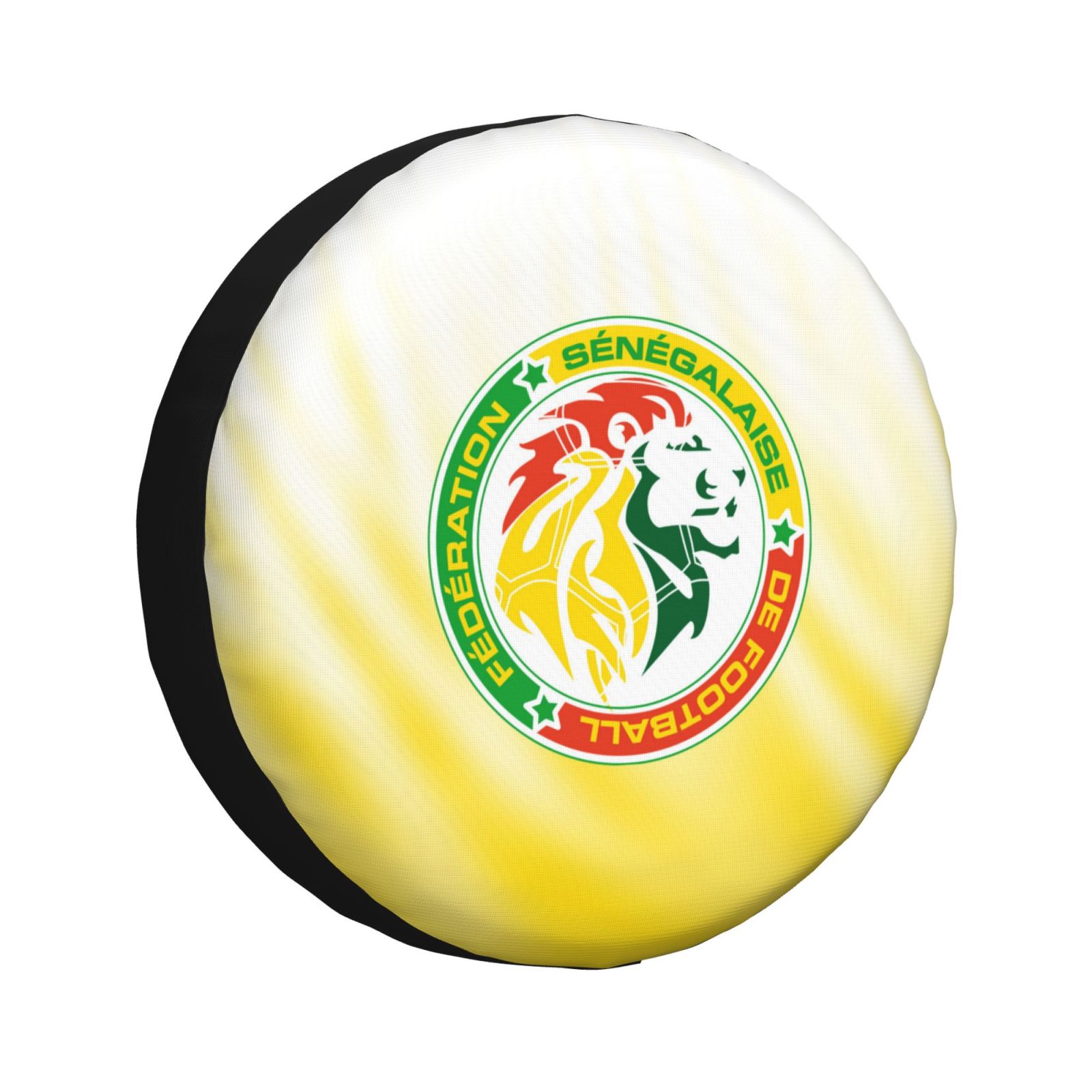 Senegal Car Tire Dust Cover TIC2740