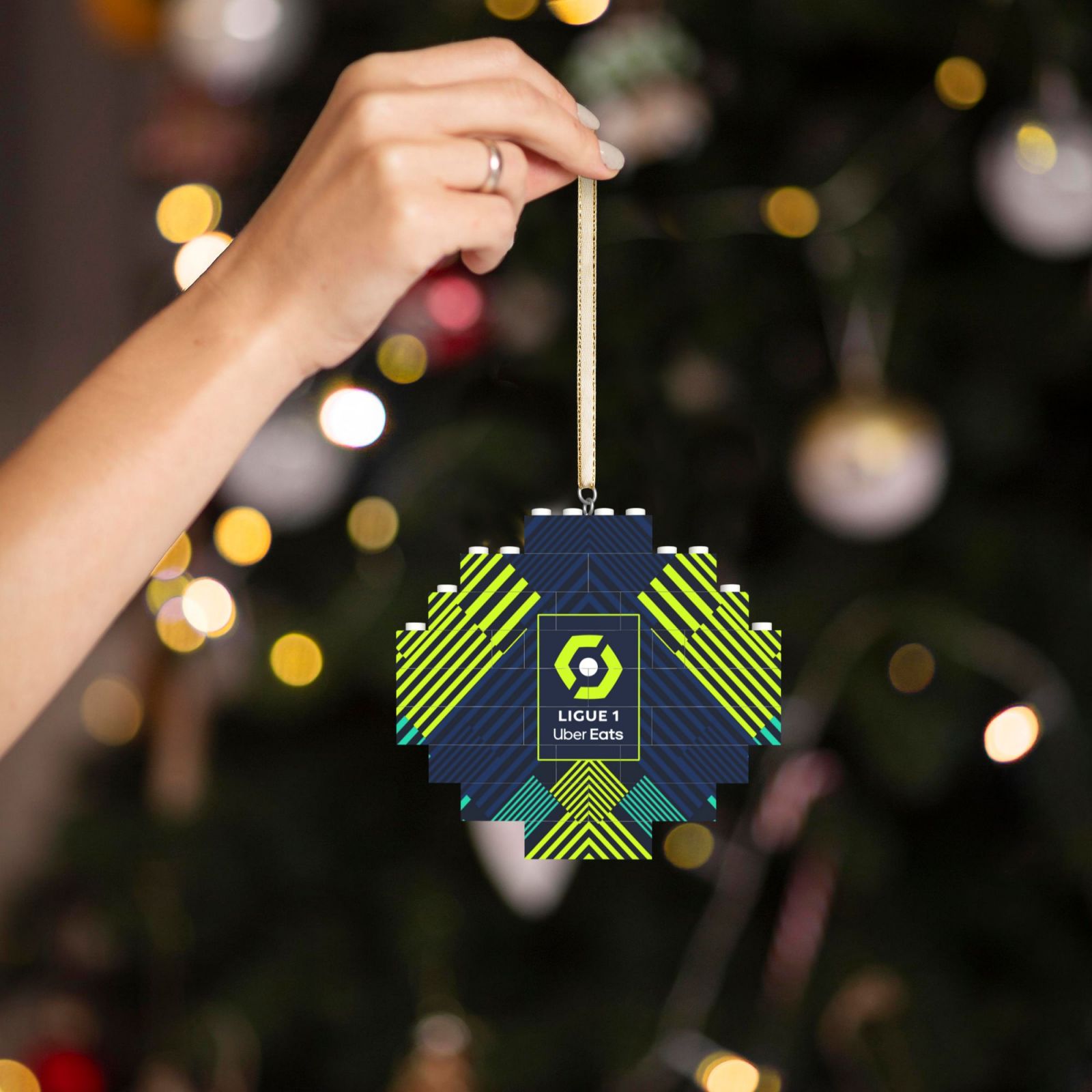 France Football League Building Block Puzzle Ornament BBP2034