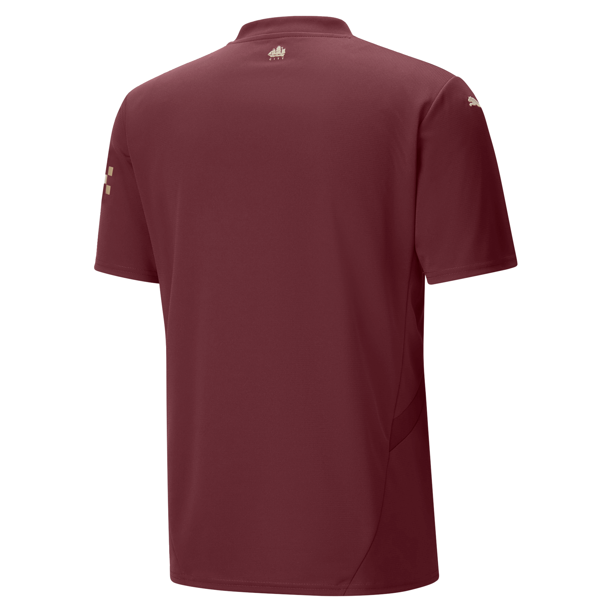 Manchester City Third Jersey 2024/25