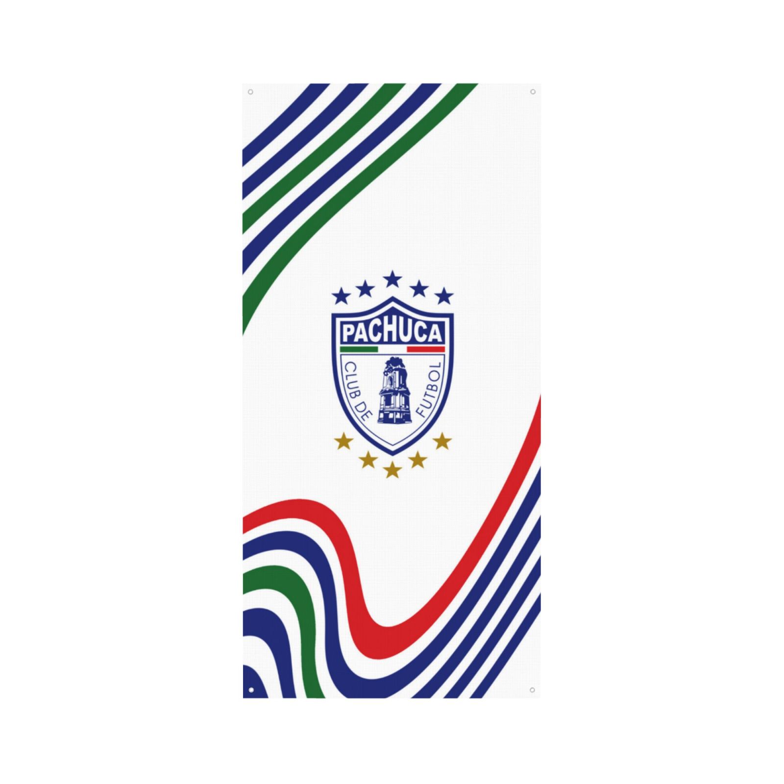 Pachuca Door Cover Decorated Banner DCB2798