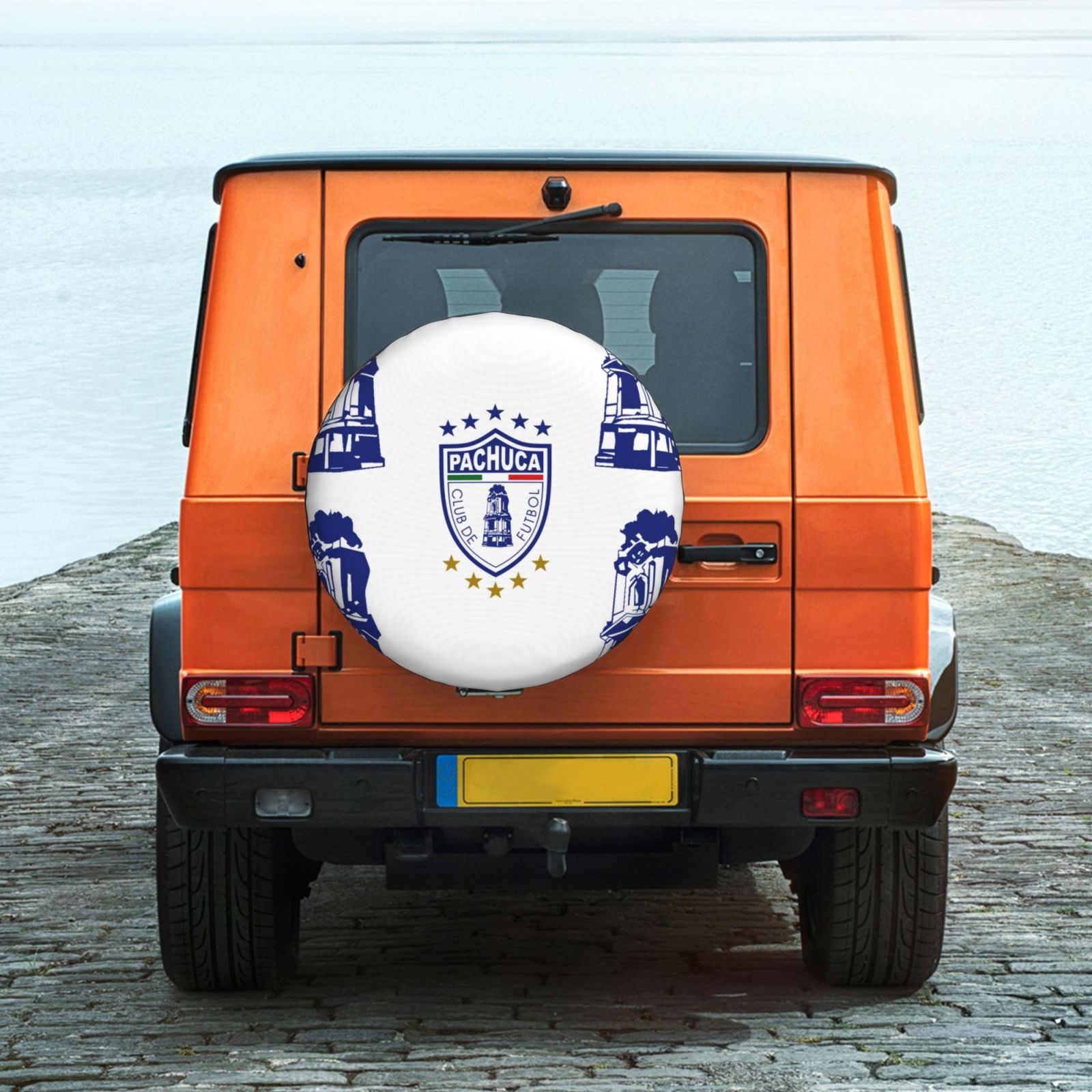 Pachuca Car Tire Dust Cover TIC2746