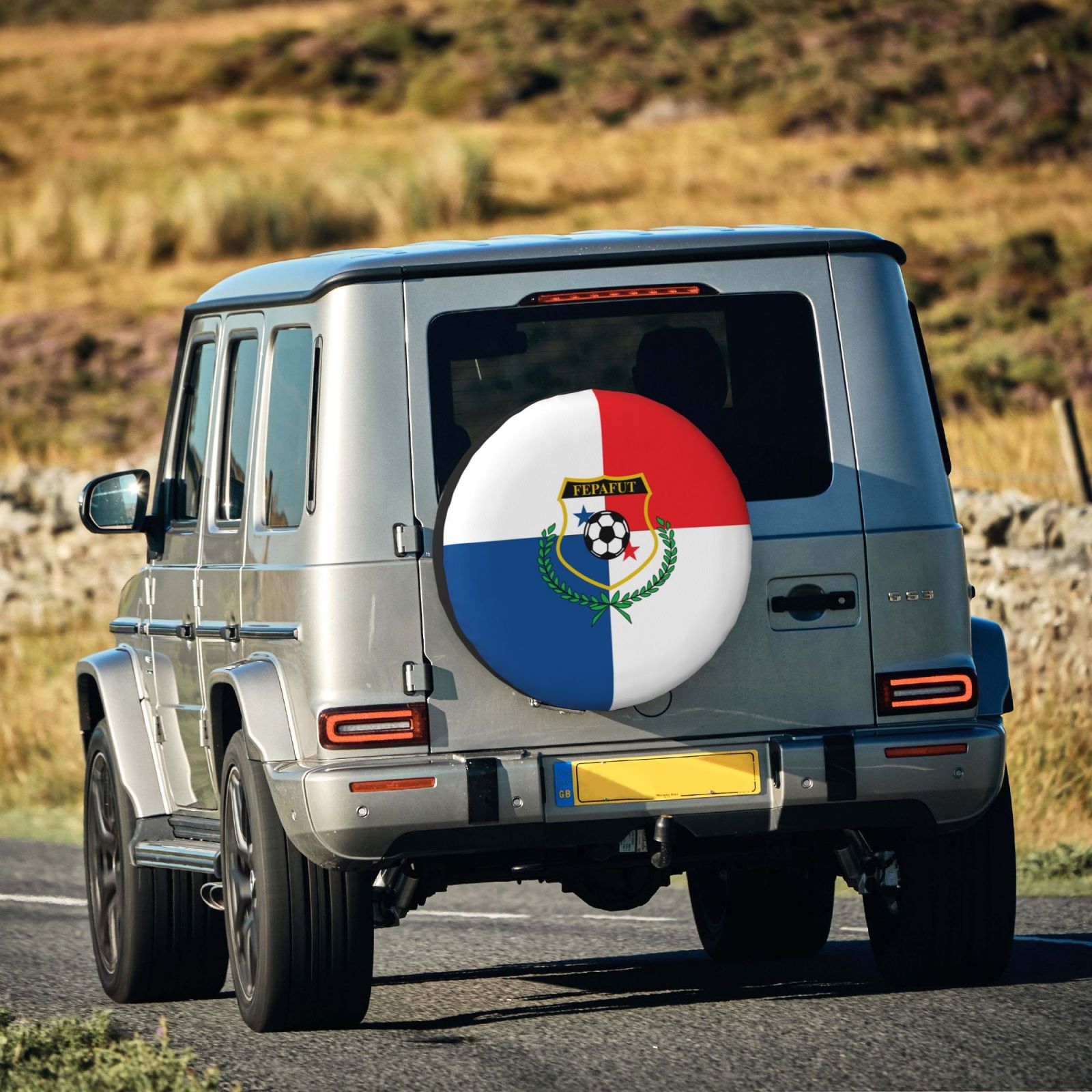 Panama Car Tire Dust Cover TIC2775