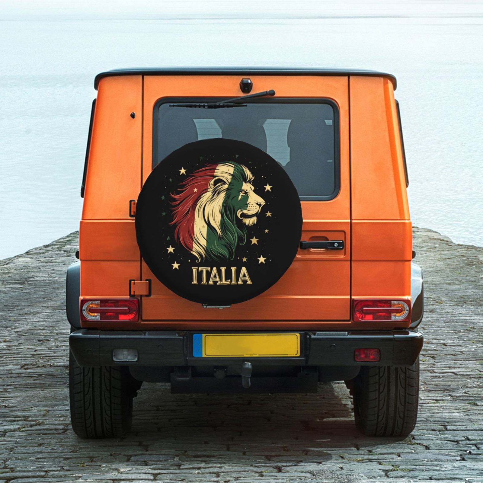 Italy Tire Dust Cover TIC2724