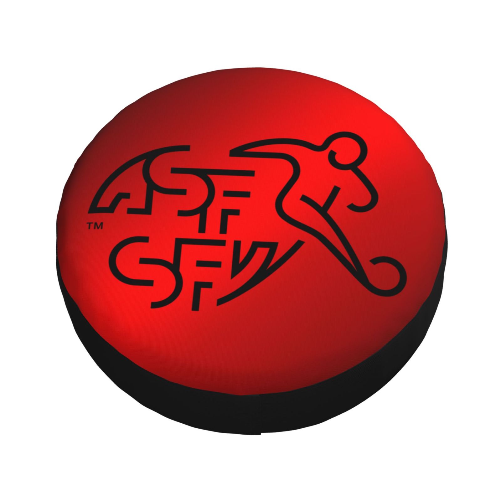 Switzerland Tire Dust Cover TIC2629