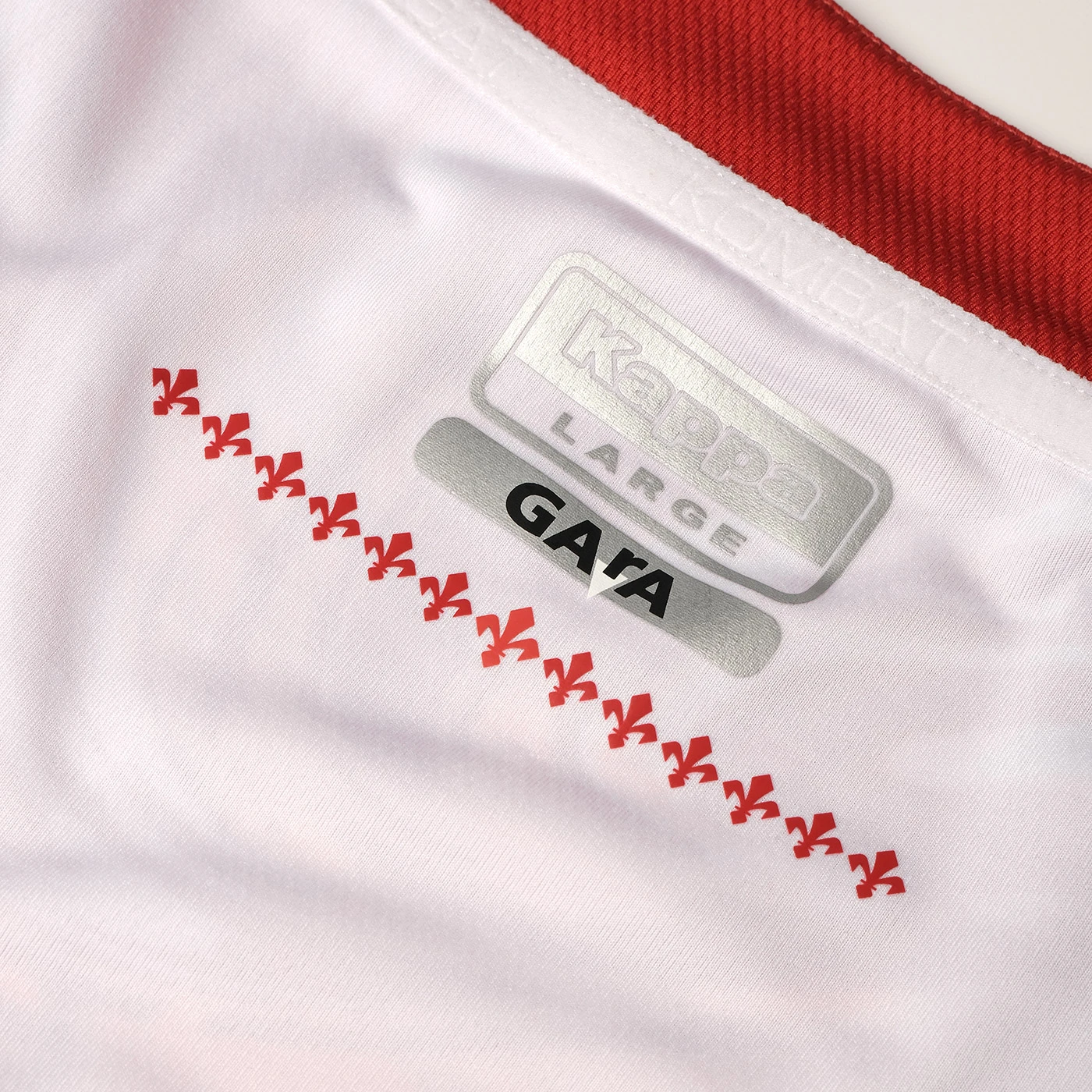 Fiorentina Fourth Jersey 23/24