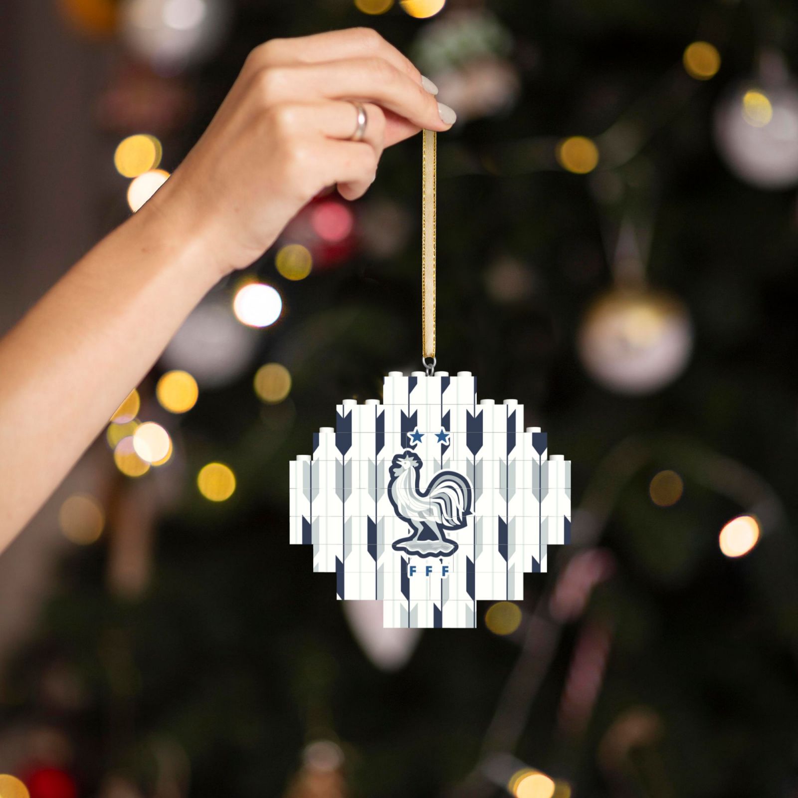 France Building Block Puzzle Ornament BBP2185