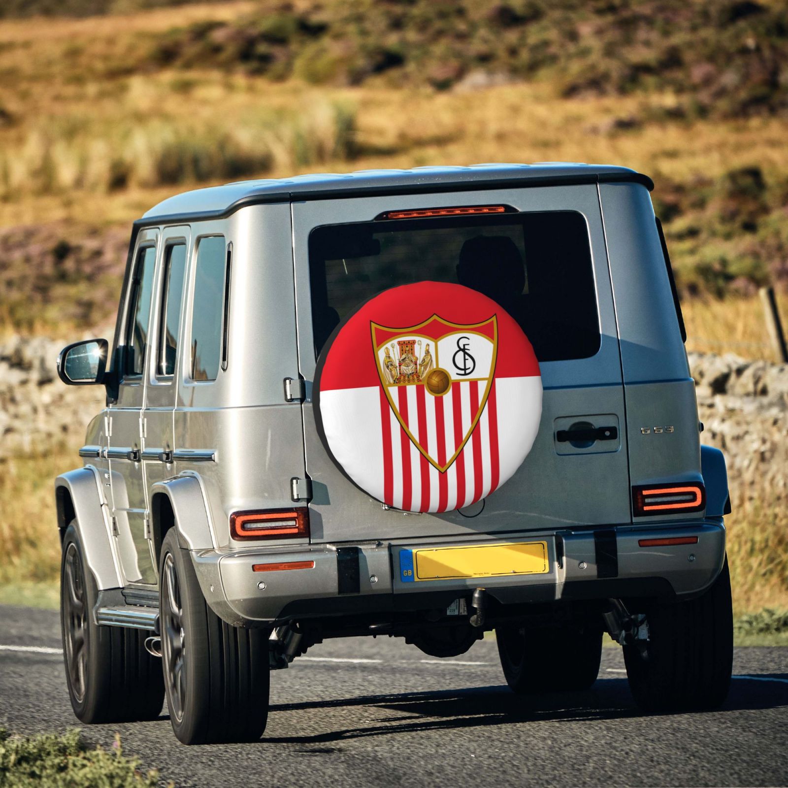 Sevilla Car Tire Dust Cover TIC2734