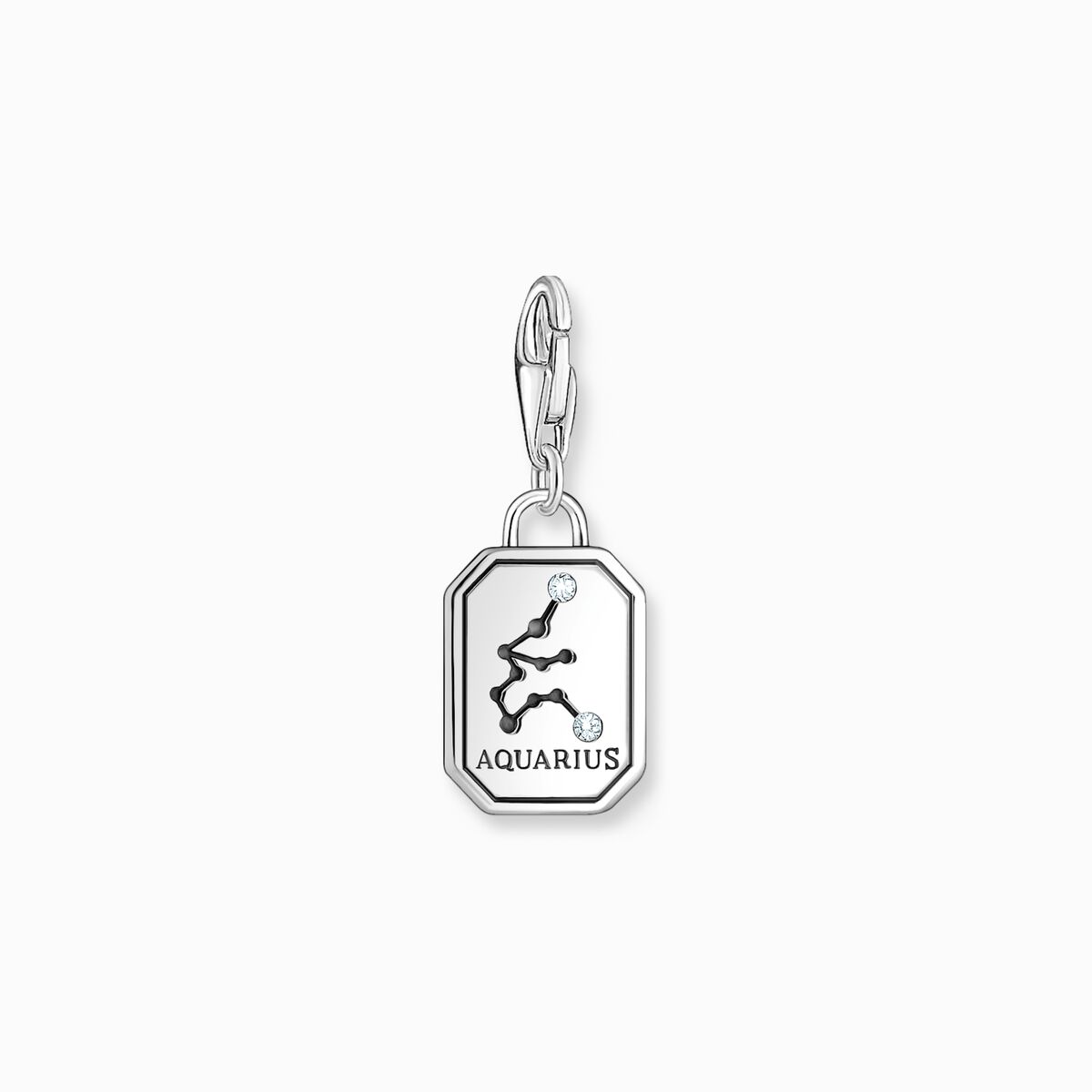 Silver charm pendant zodiac sign Aquarius with zirconia