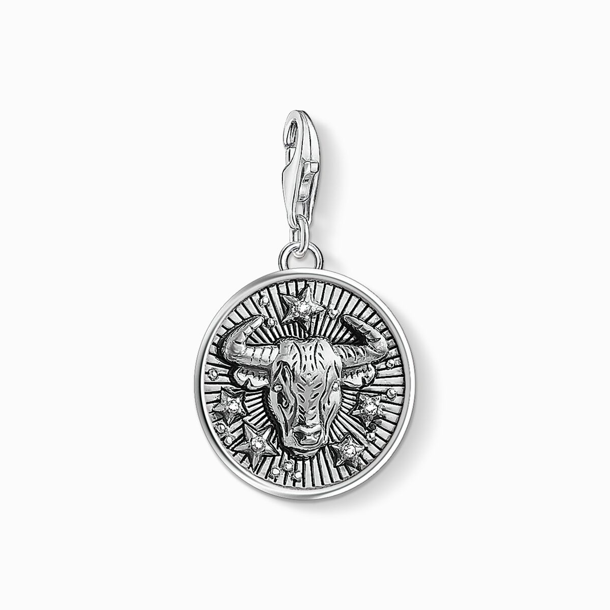 Charm pendant zodiac sign Taurus