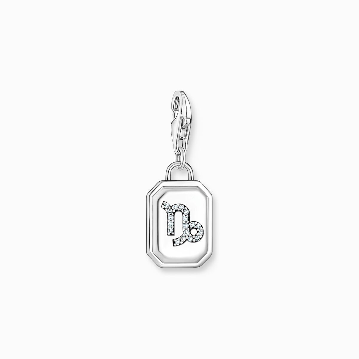 Silver charm pendant zodiac sign Capricorn with zirconia