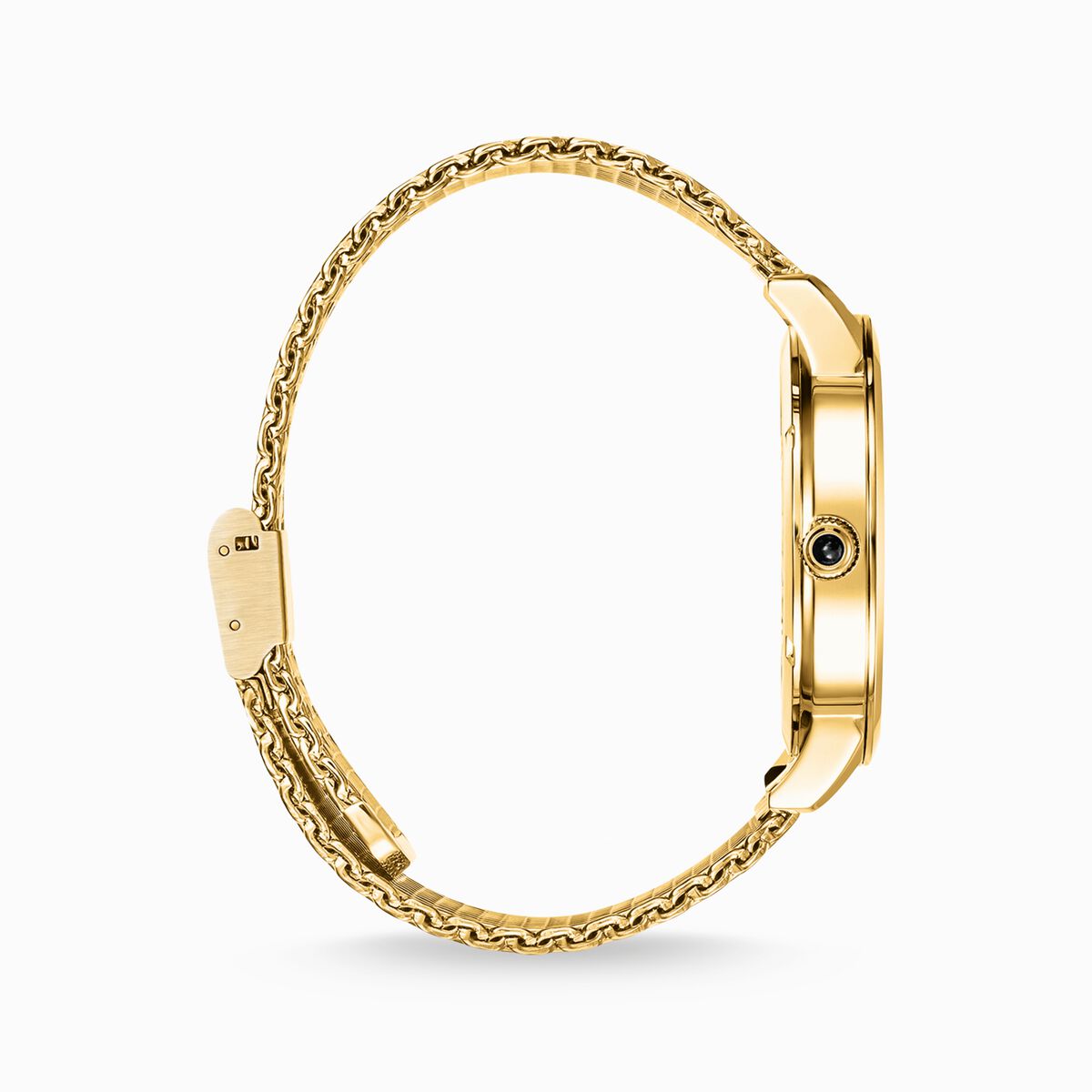 Men’s watch elements of nature gold