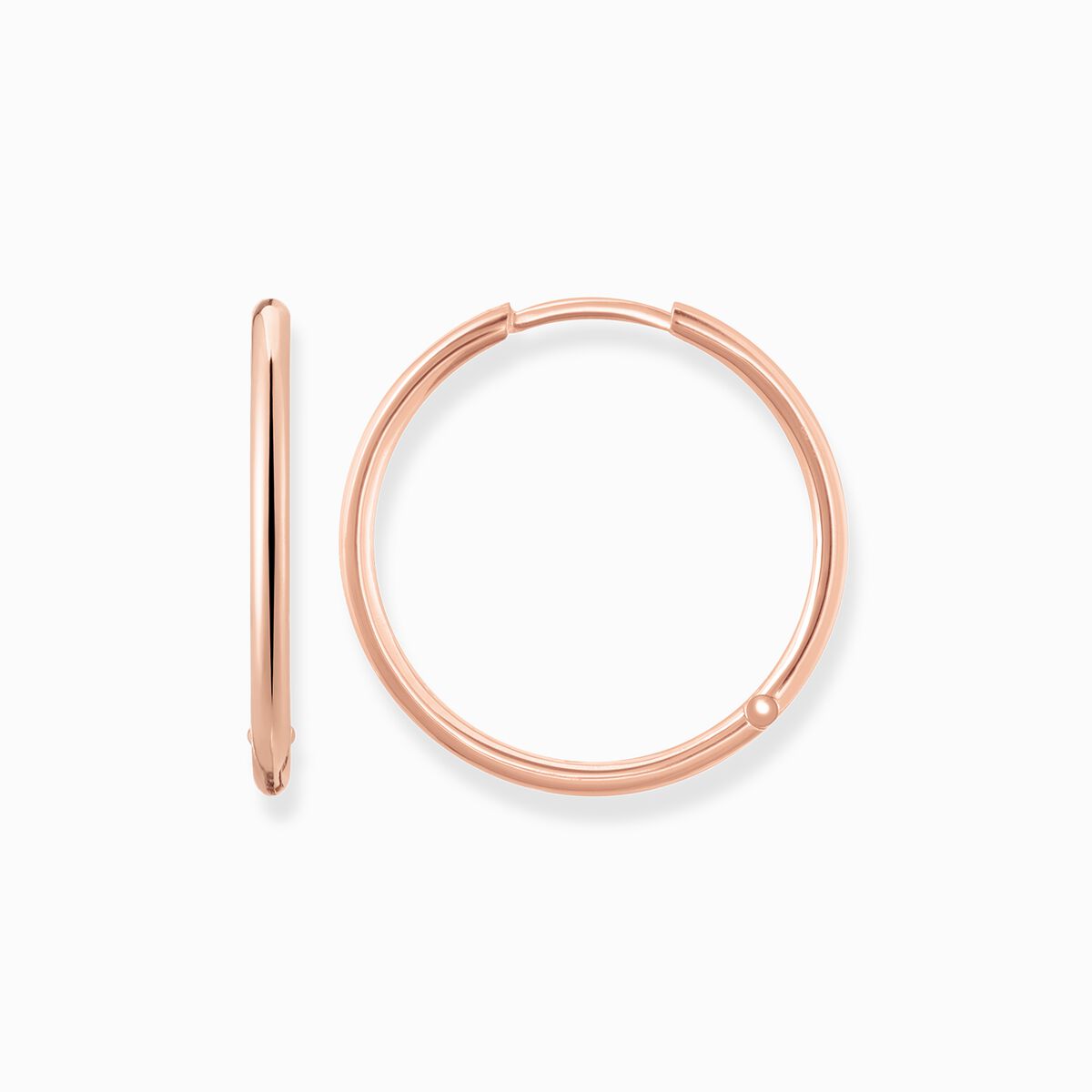 Hoop earrings large
