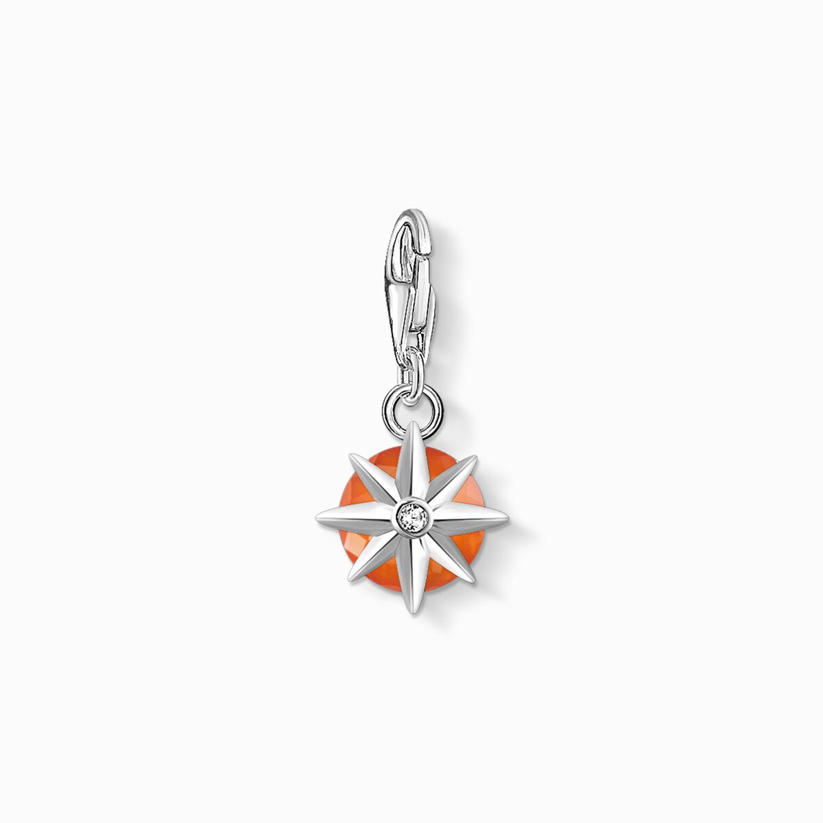 Charm pendant birth stone January