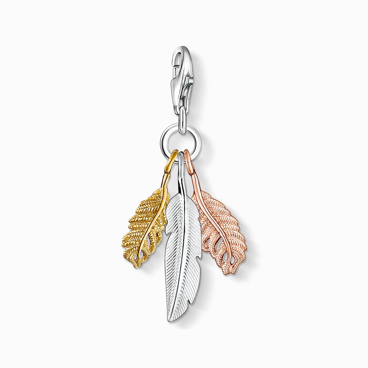 Charm pendant feathers